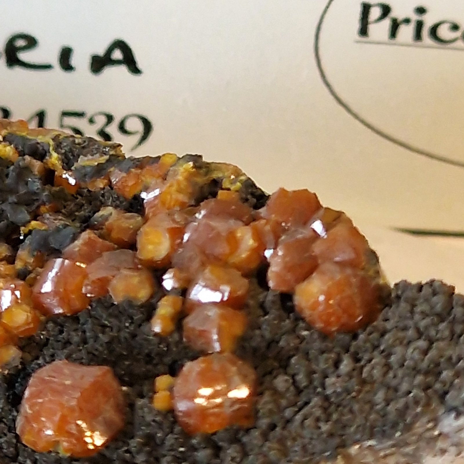 Mimetite (variety campylite)
5mm crystals
(Autor: Forrestblyth)