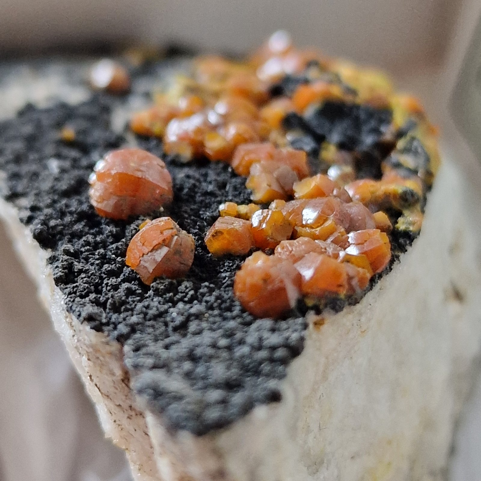 Mimetite (variety campylite)
6mm
(Autor: Forrestblyth)