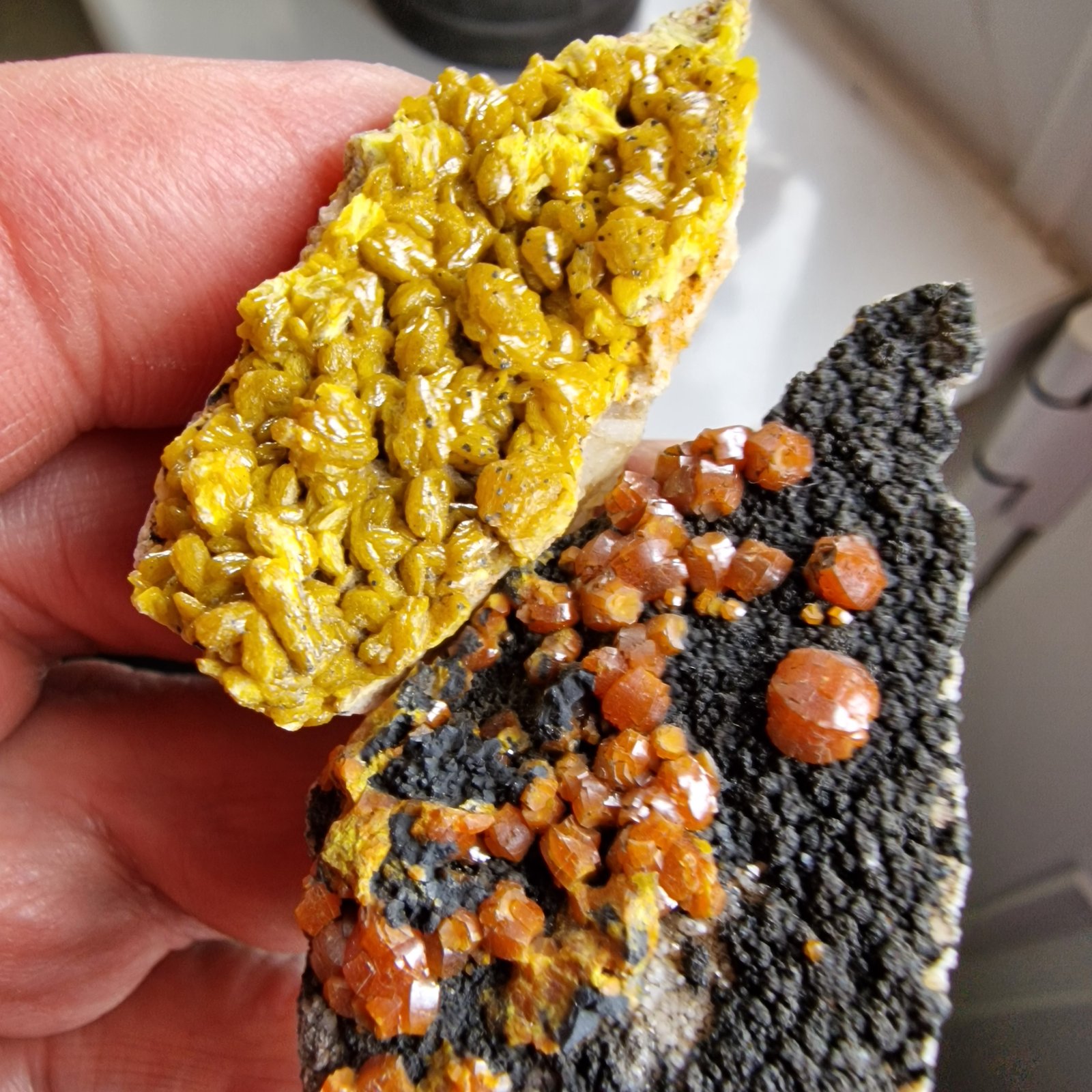 Mimetite (variety campylite)
5mm crystals
(Autor: Forrestblyth)
