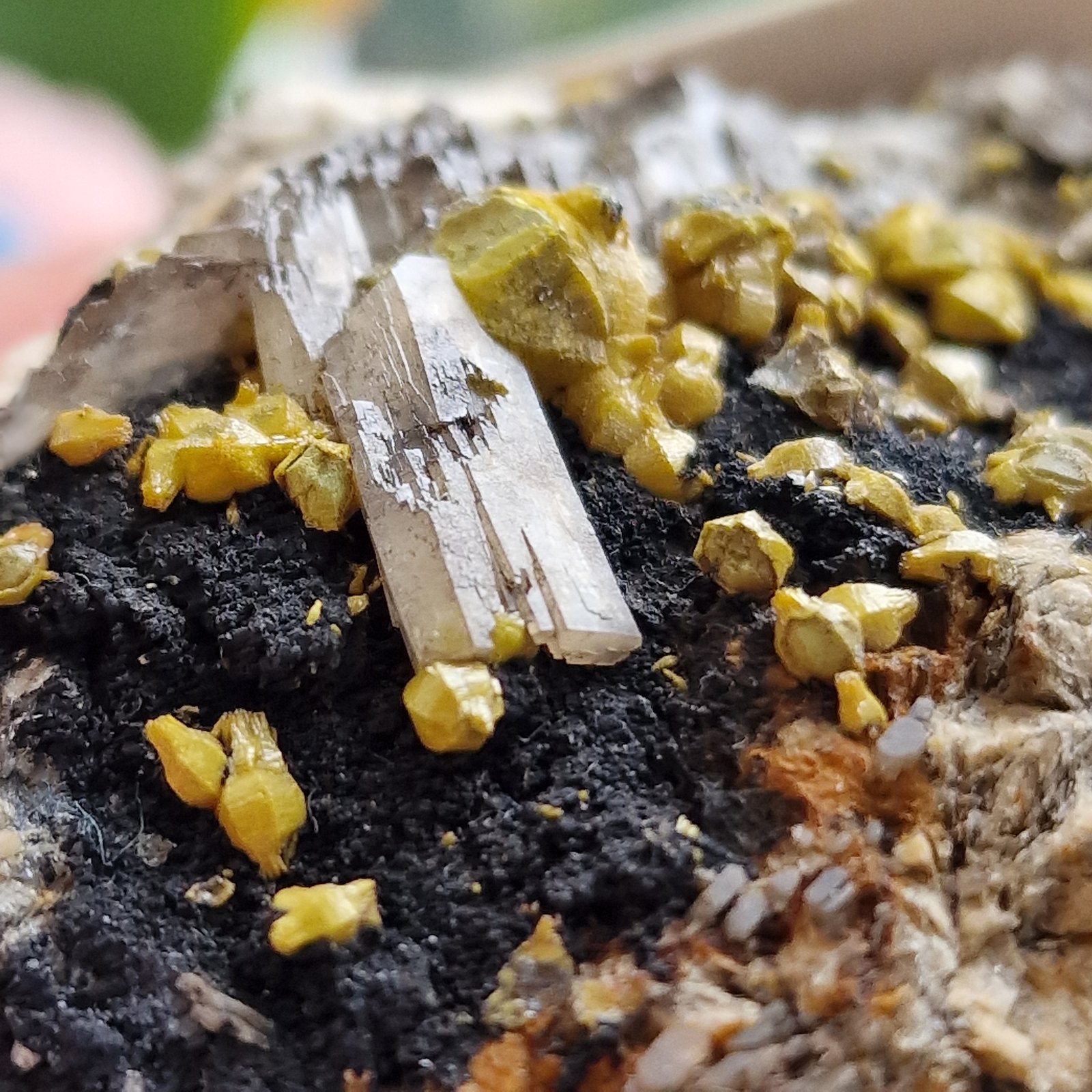 Mimetite (variety campylite) and Baryte
5mm crystals  campylite 10mm baryte
(Autor: Forrestblyth)