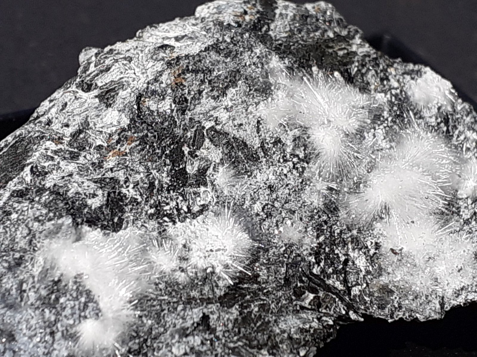 Canavesite, Dypingite
4,5 x 3,5 cm
(Autor: Volkmar Stingl)