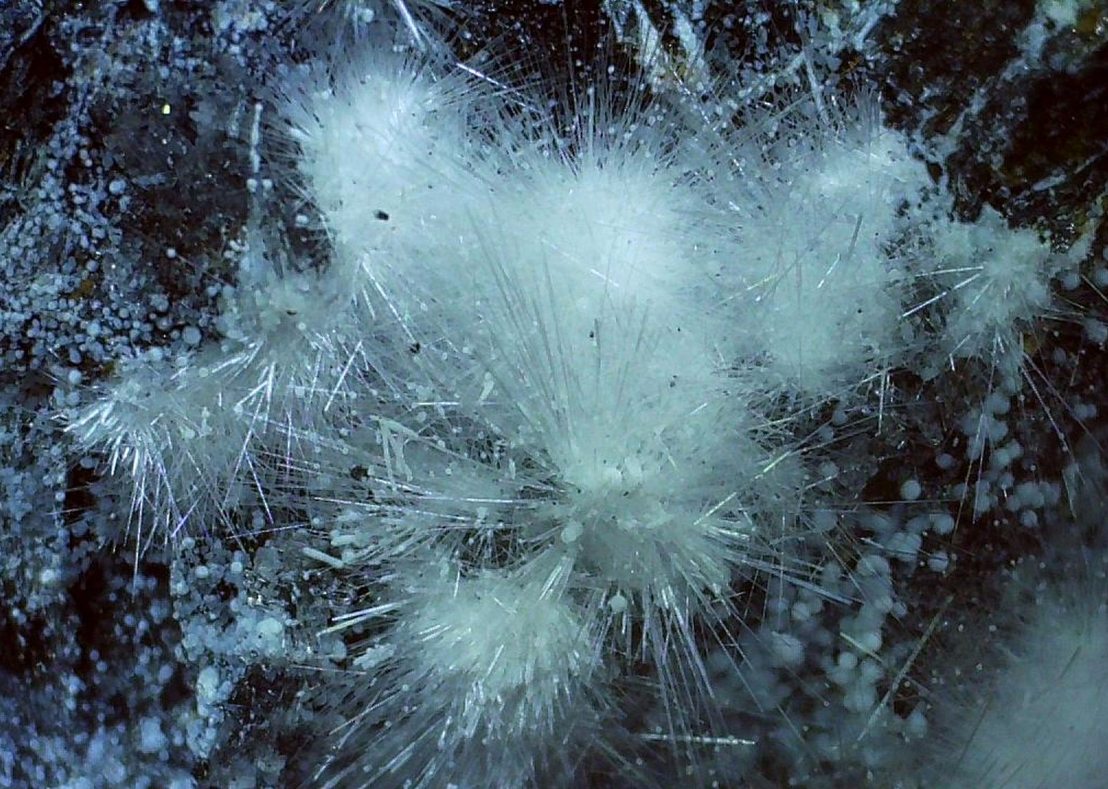 Canavesite, Dypingite
4,5 x 3,5 cm
(Autor: Volkmar Stingl)