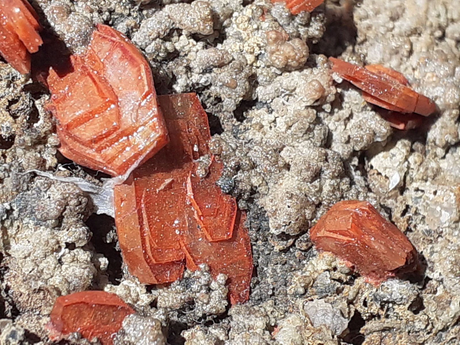 Heulandite
7,5 x 7 cm
(Autor: Volkmar Stingl)