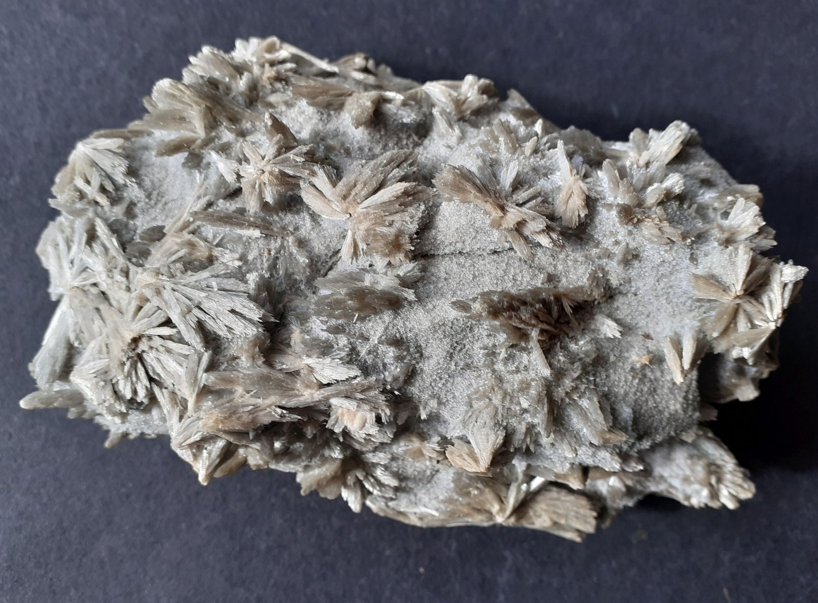 Tremolite
10 x 6,5 cm
(Autor: Volkmar Stingl)