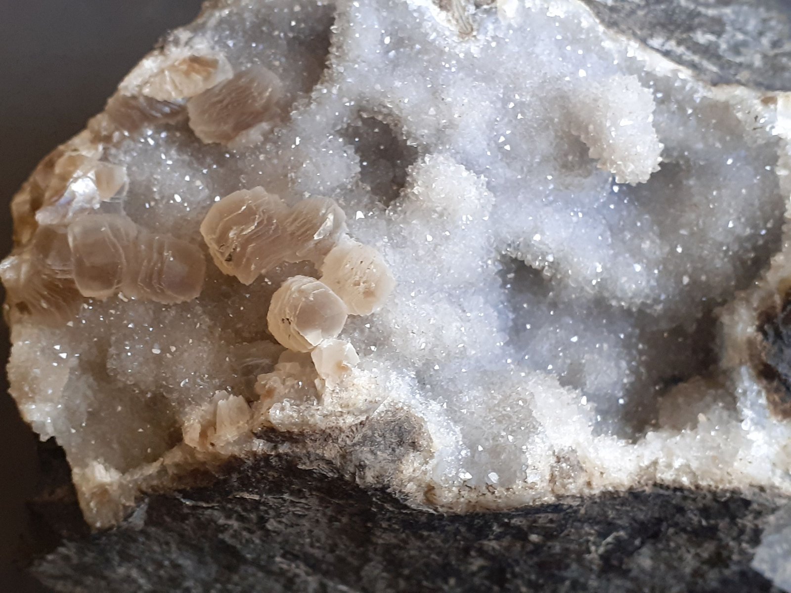 10 x 7 cm
(Autor: Volkmar Stingl)