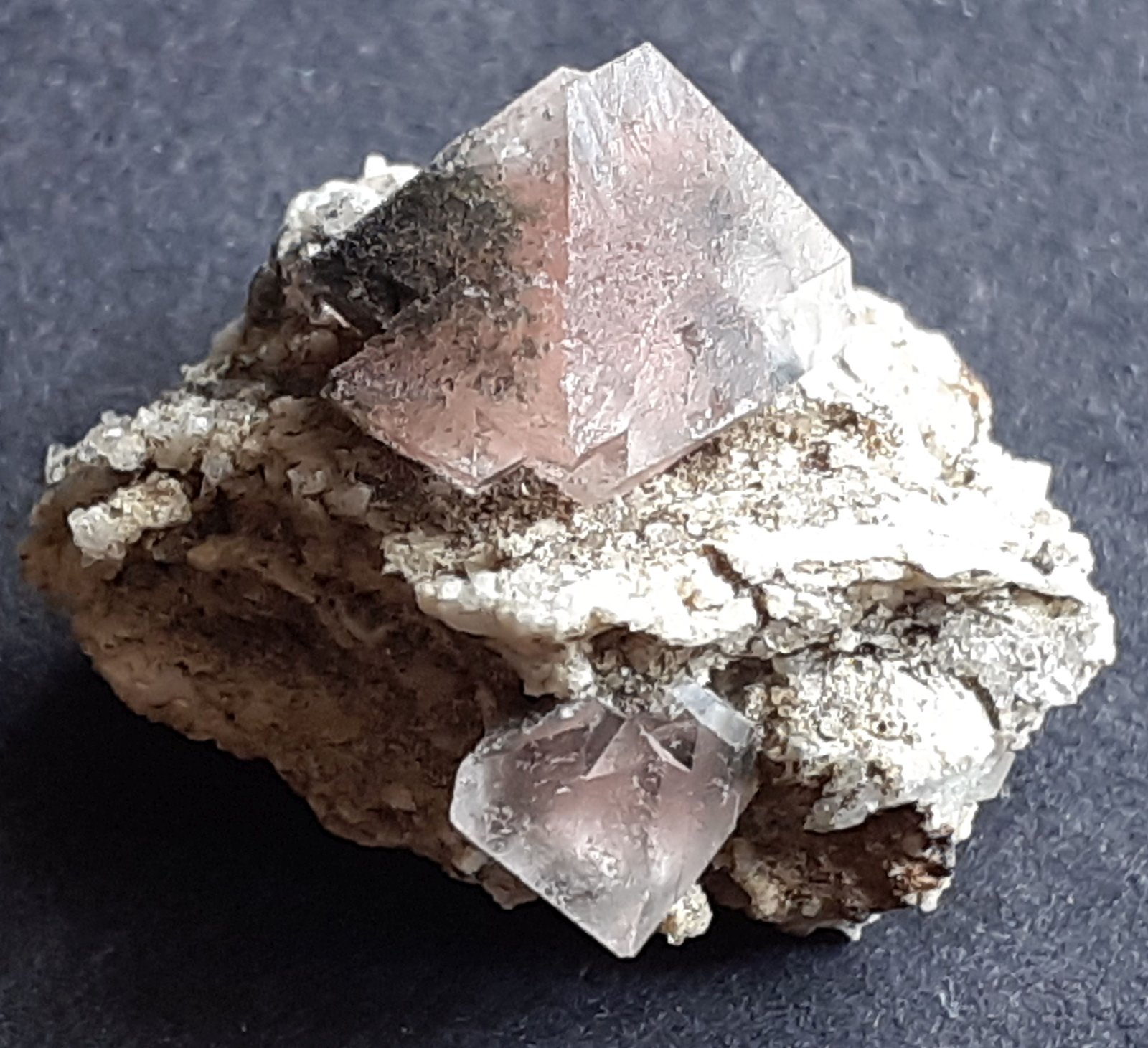 Fluorite
1,7 x 1,5 cm
(Autor: Volkmar Stingl)