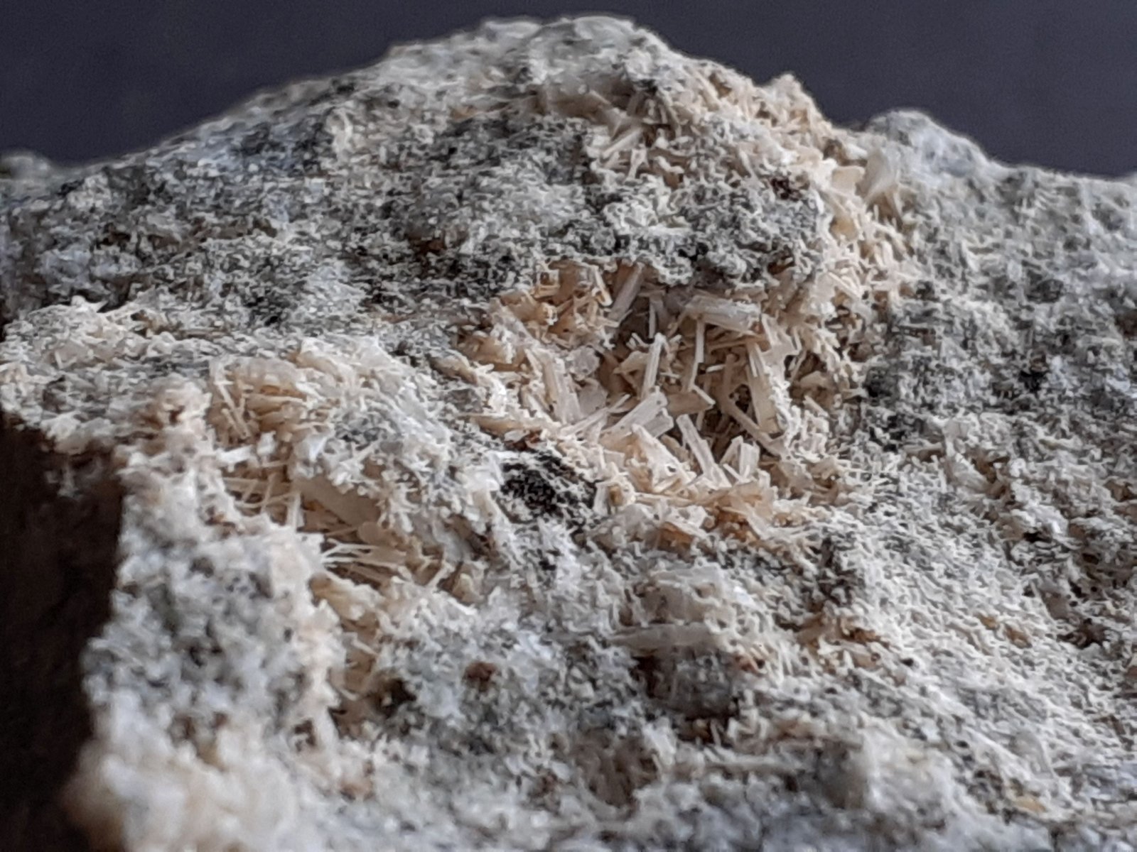 Tuscanite
3,5 x 3 cm
(Autor: Volkmar Stingl)