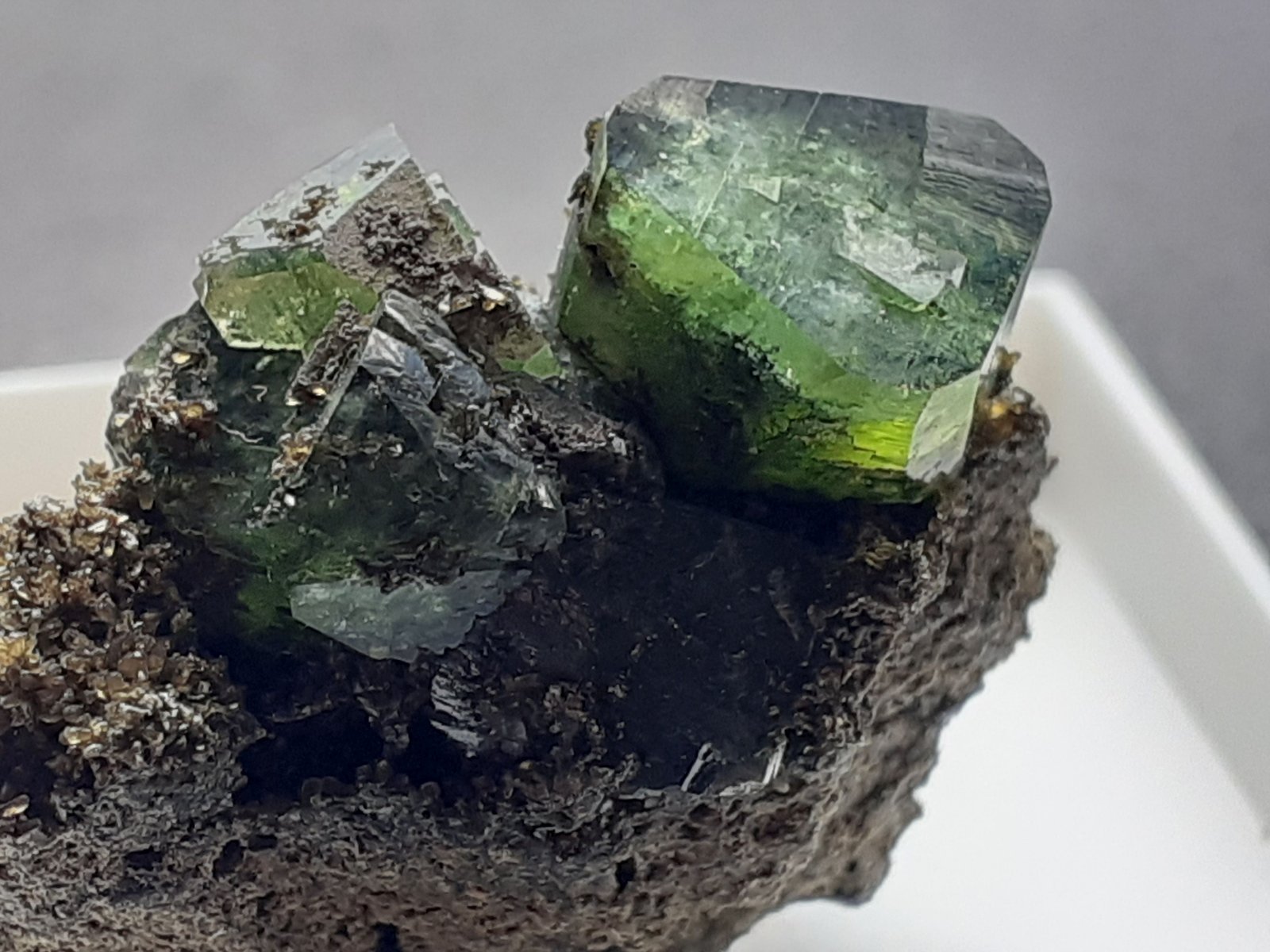 Ludlamite
2,5 x 1,5 cm
(Autor: Volkmar Stingl)