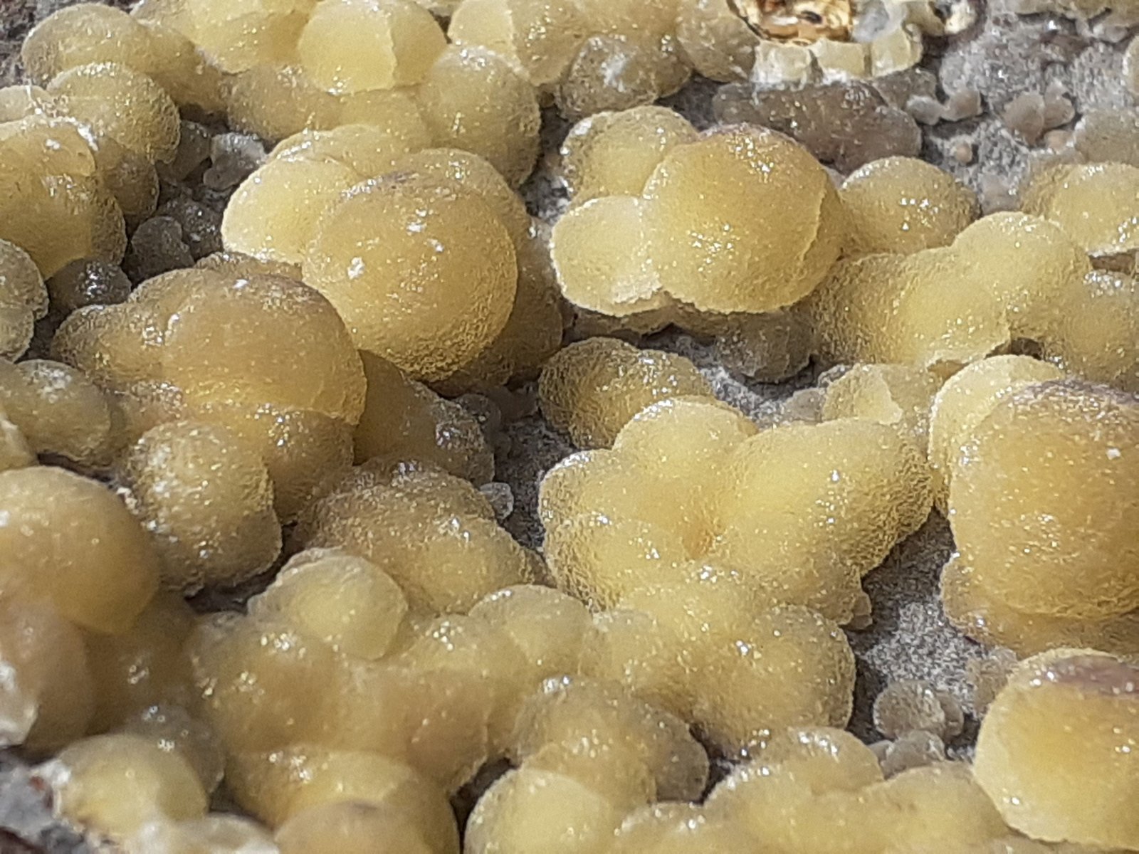 Calcite
10,5 x 7 cm
(Autor: Volkmar Stingl)