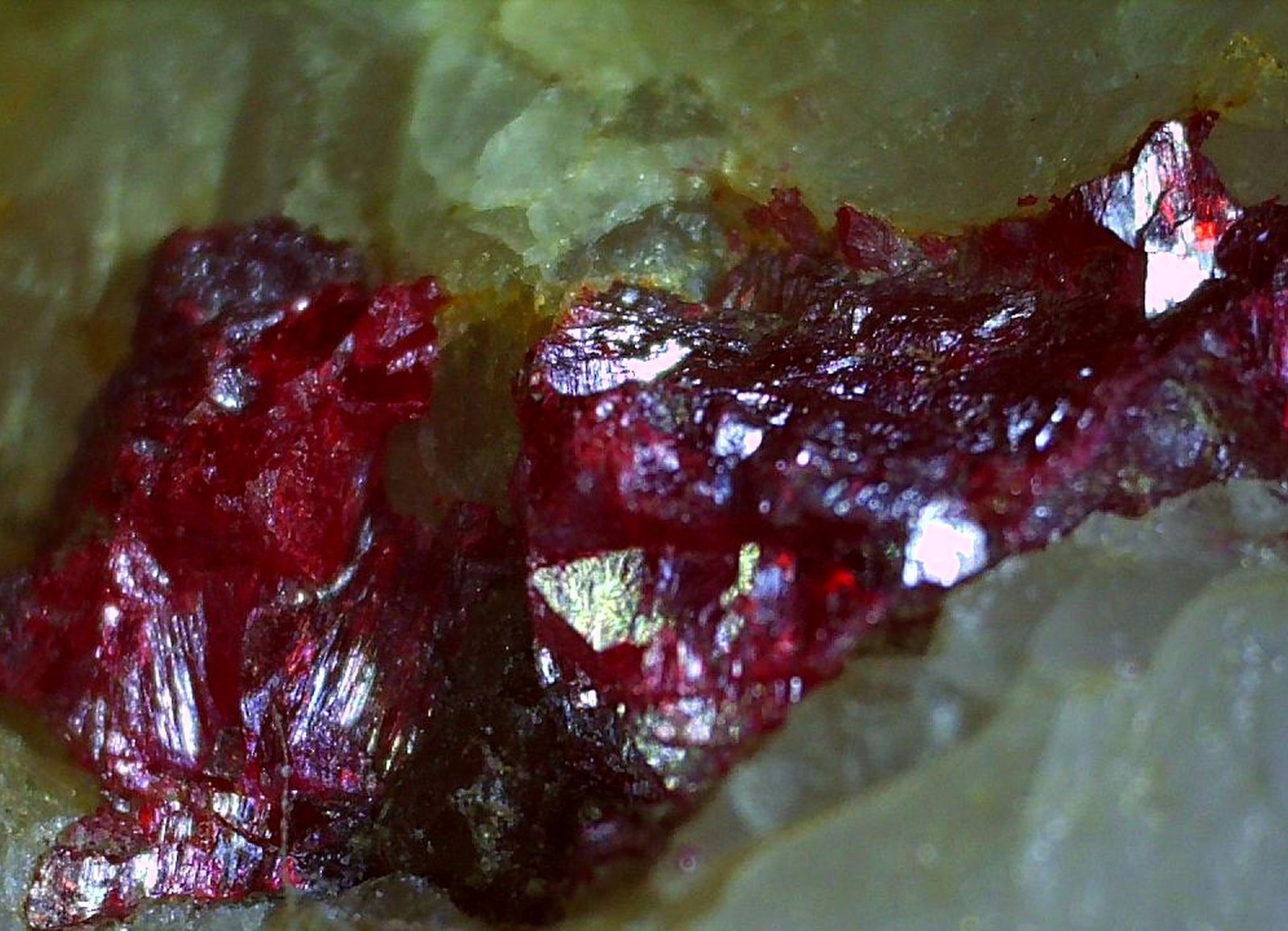 Cinnabar
9,5 x 9 cm
(Autor: Volkmar Stingl)