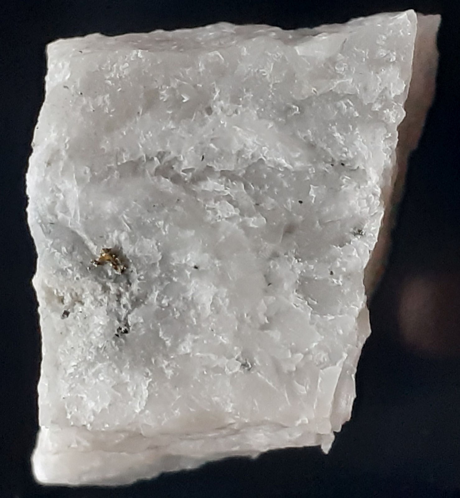 Gold
2 x 1,5 cm
(Autor: Volkmar Stingl)