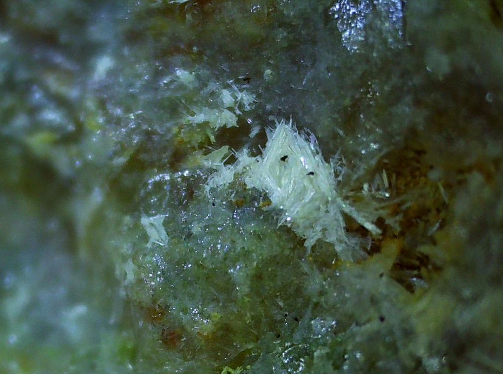 Schultenite
3,5 x 2 cm
(Autor: Volkmar Stingl)