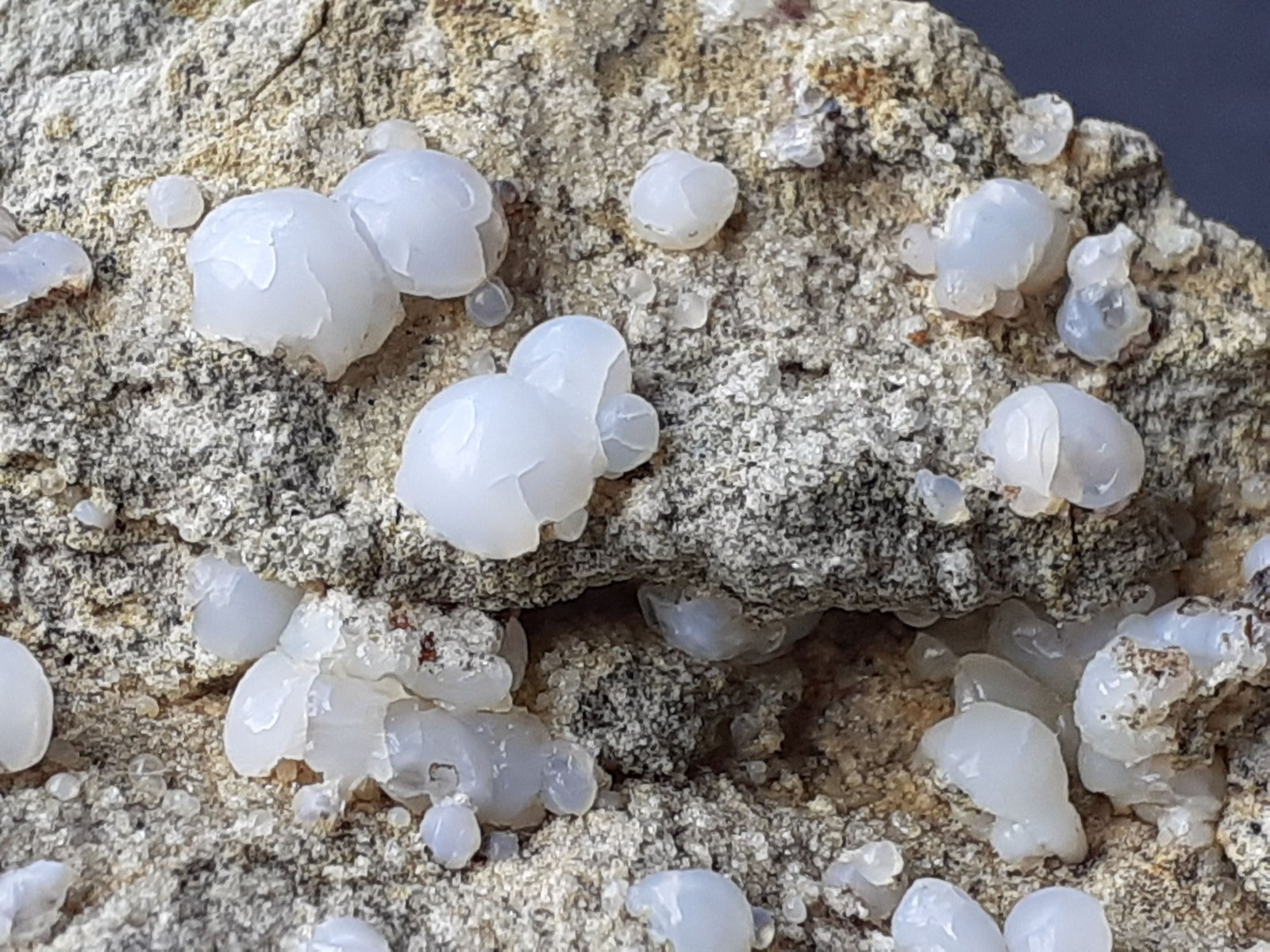 Opal
6,5 x 4 cm
(Autor: Volkmar Stingl)