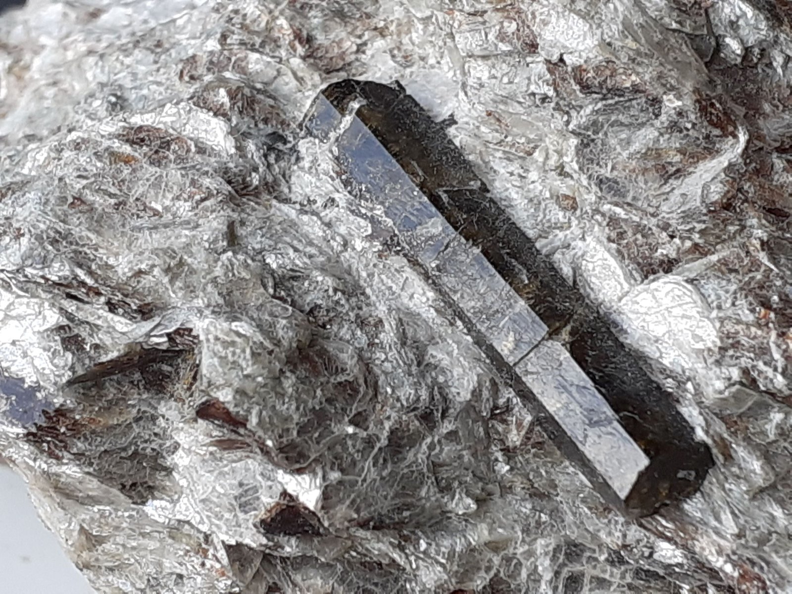 Dravite
5 x 3,5 cm
(Autor: Volkmar Stingl)