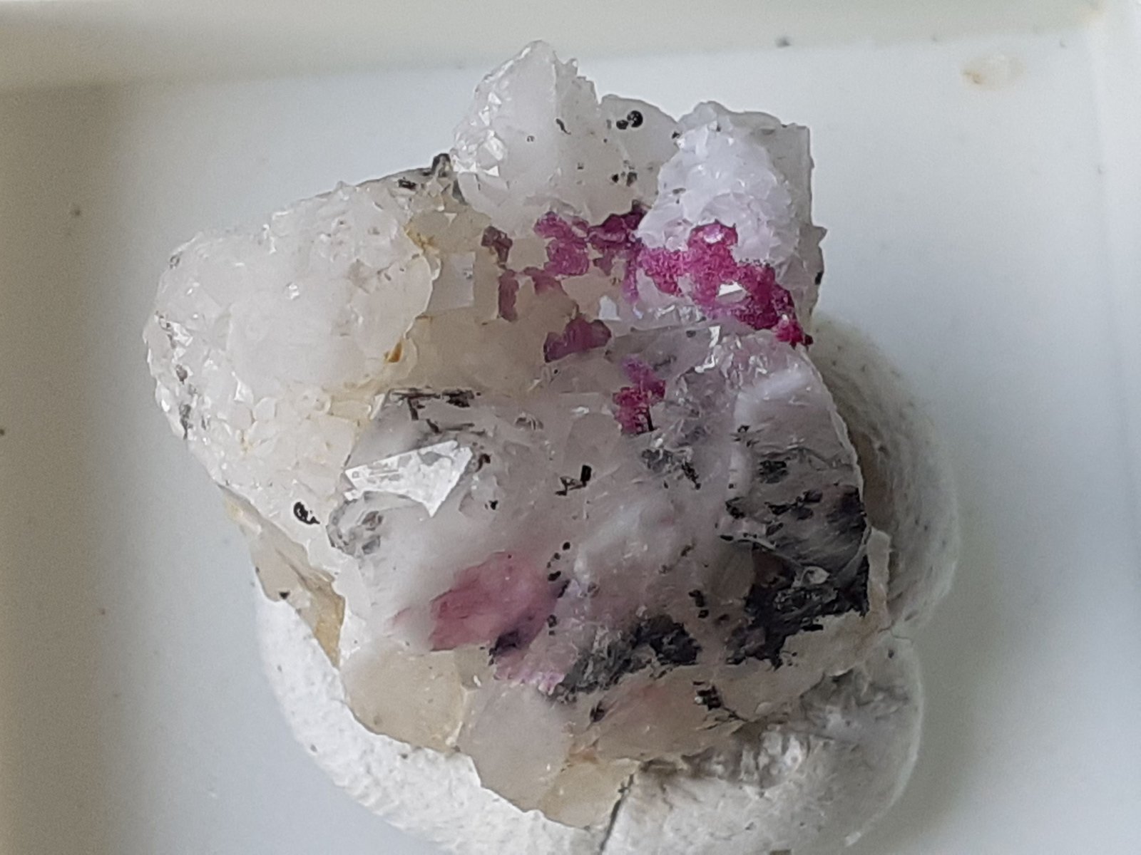 Erythrite, Quartz
1,5 x 1,5 cm
(Autor: Volkmar Stingl)