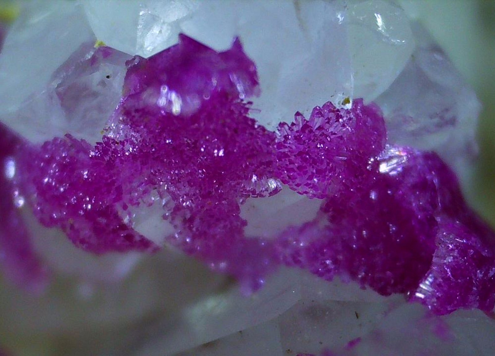 Erythrite, Quartz
1,5 x 1,5 cm
(Autor: Volkmar Stingl)