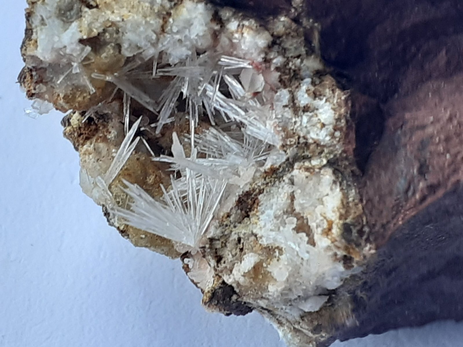 Aragonite, Magnesite, Quartz
FoV ca. 2 x 1,5 cm
(Autor: Volkmar Stingl)