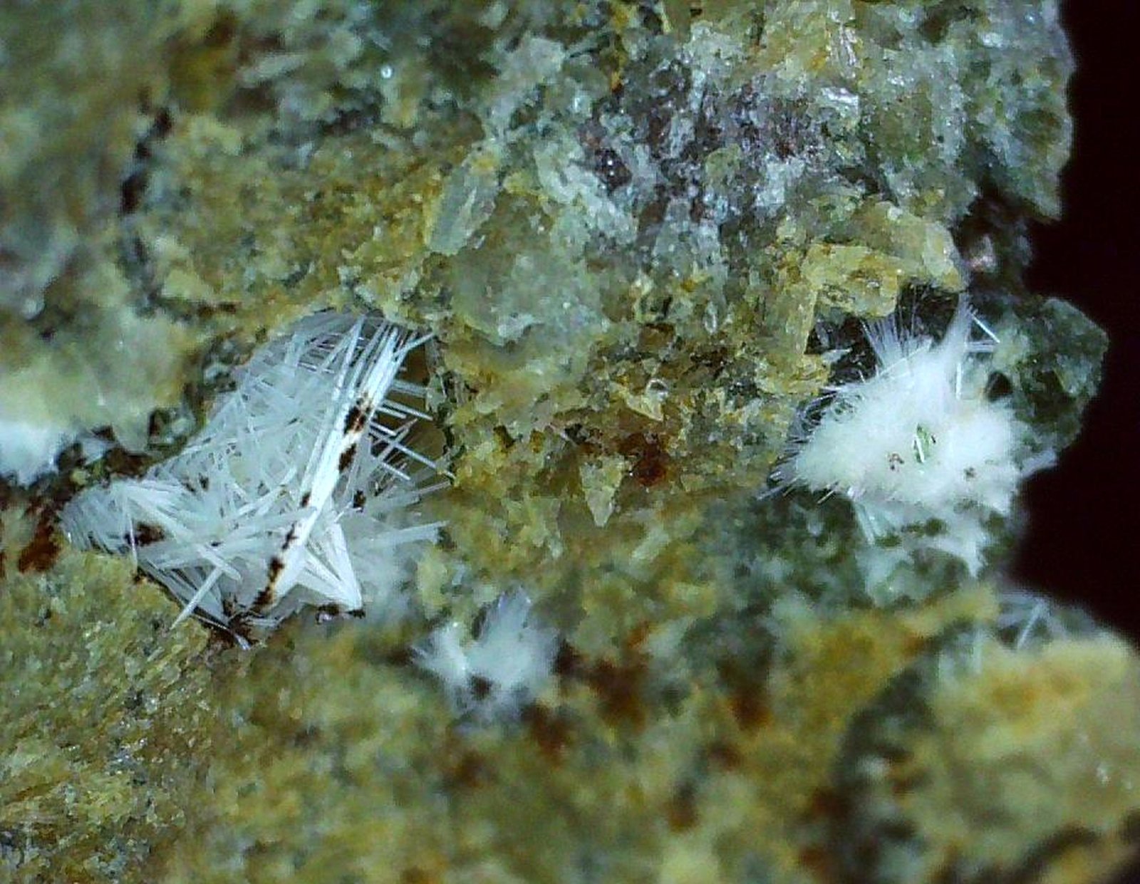 Rhodesite
1,7 x 1,3 cm
(Autor: Volkmar Stingl)