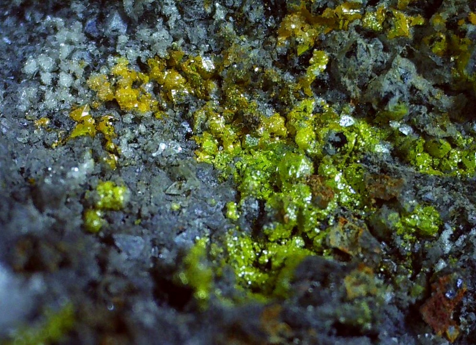 Greenockite
4 x 2,5 cm
(Autor: Volkmar Stingl)
