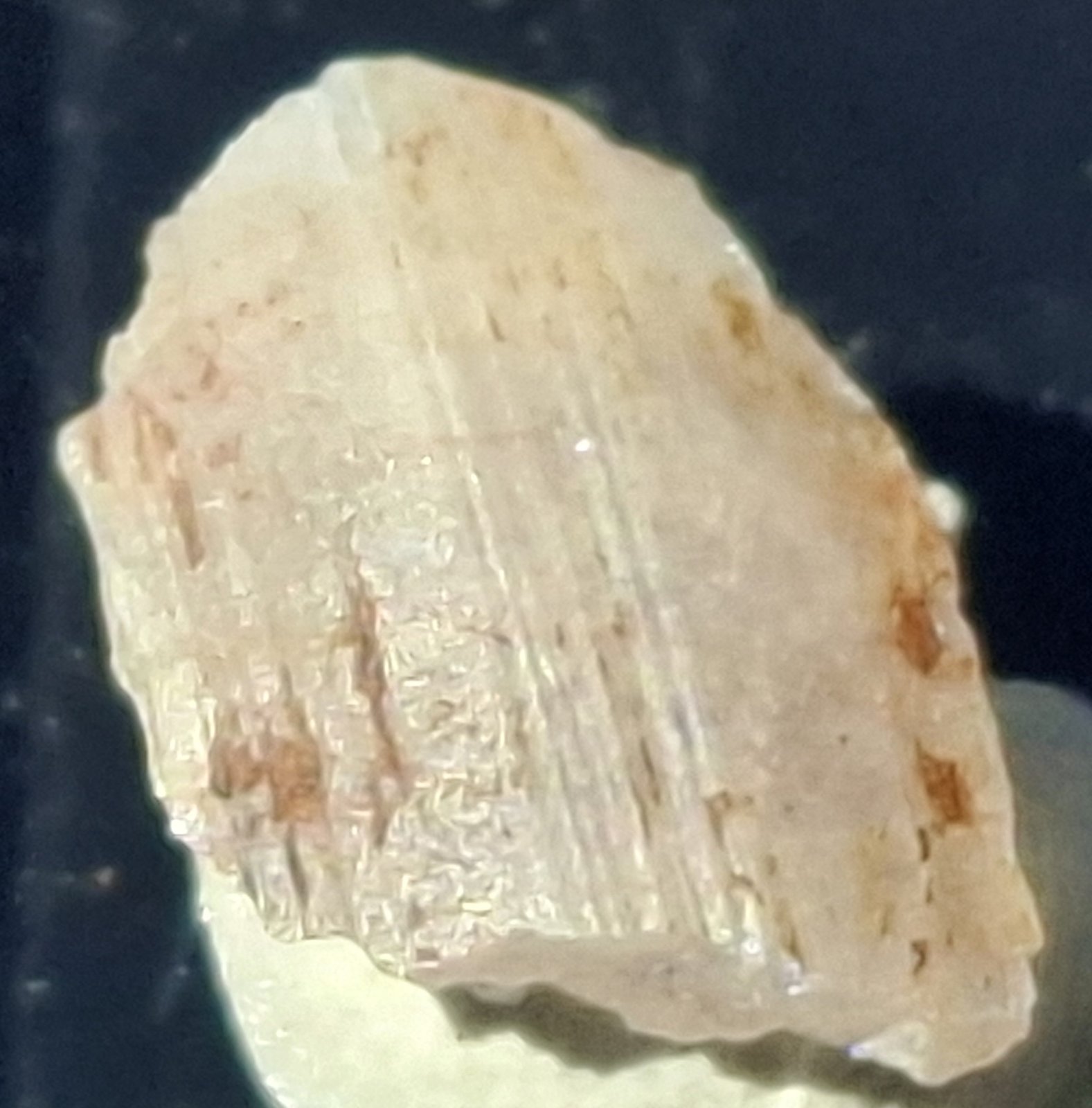 Soerensenite
1,0 x 0,7 cm
(Autor: Volkmar Stingl)