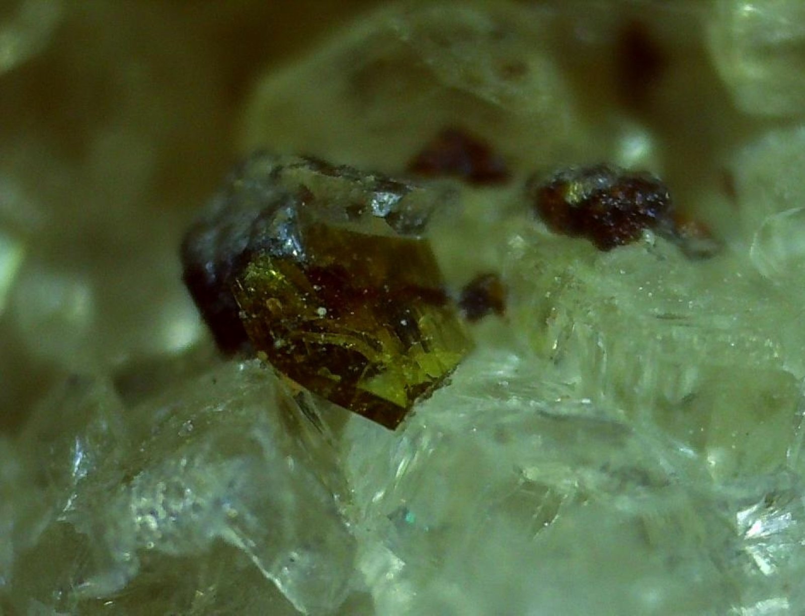 Mottanaite-(Ce)
X c. 1 mm
(Autor: Volkmar Stingl)