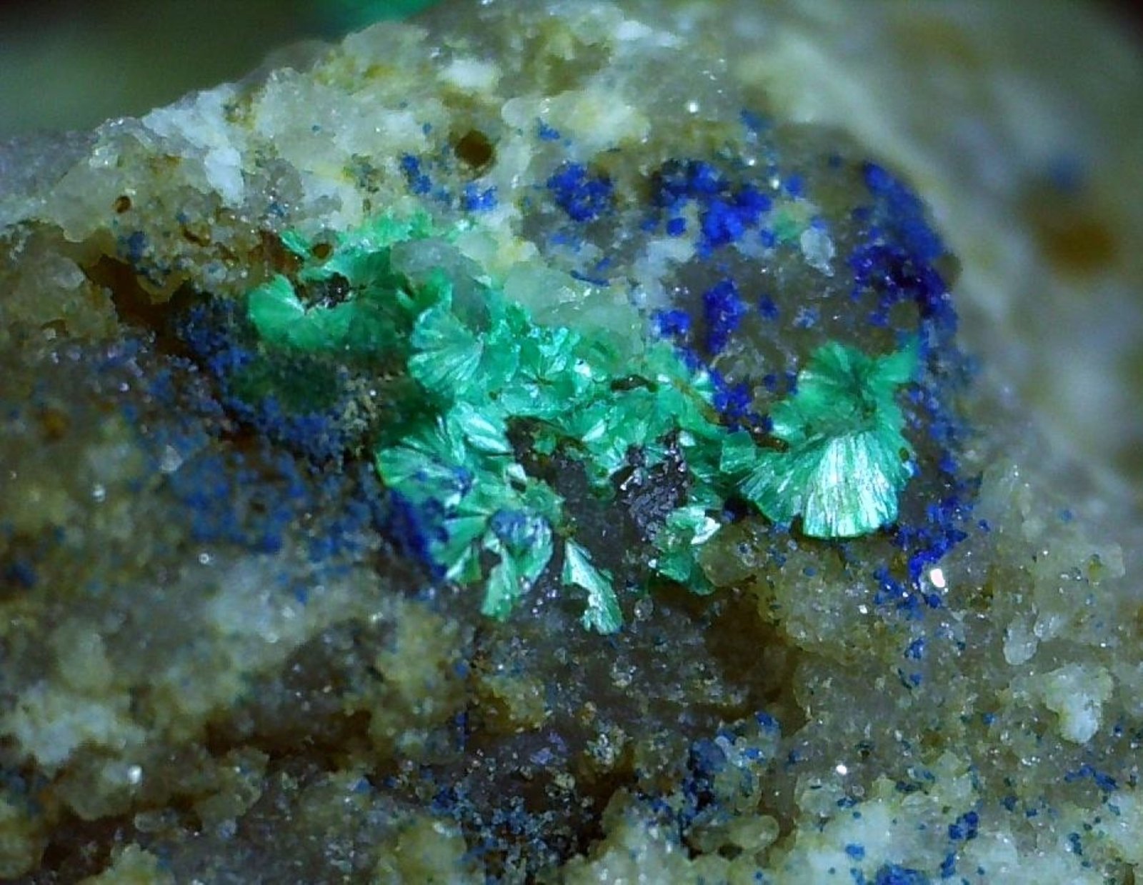 Tyrolite, Azurite, Quartz, minor Malachite
ca. 6 x 4 mm
(Autor: Volkmar Stingl)