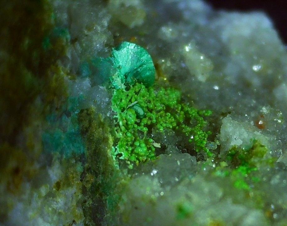 Glaukosphaerite, Tirolite
ca. 5 x 4 mm
(Autor: Volkmar Stingl)