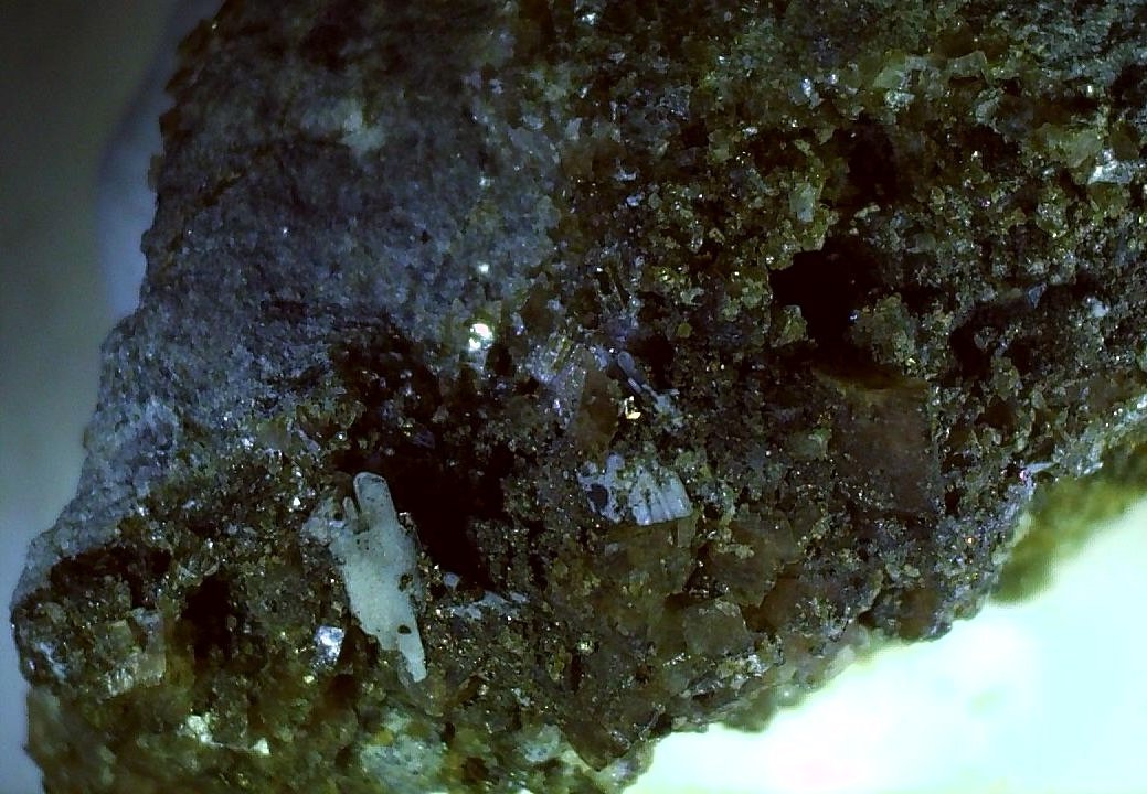 Whewellite, Pyrite
2,2 x 1,8 cm
(Autor: Volkmar Stingl)