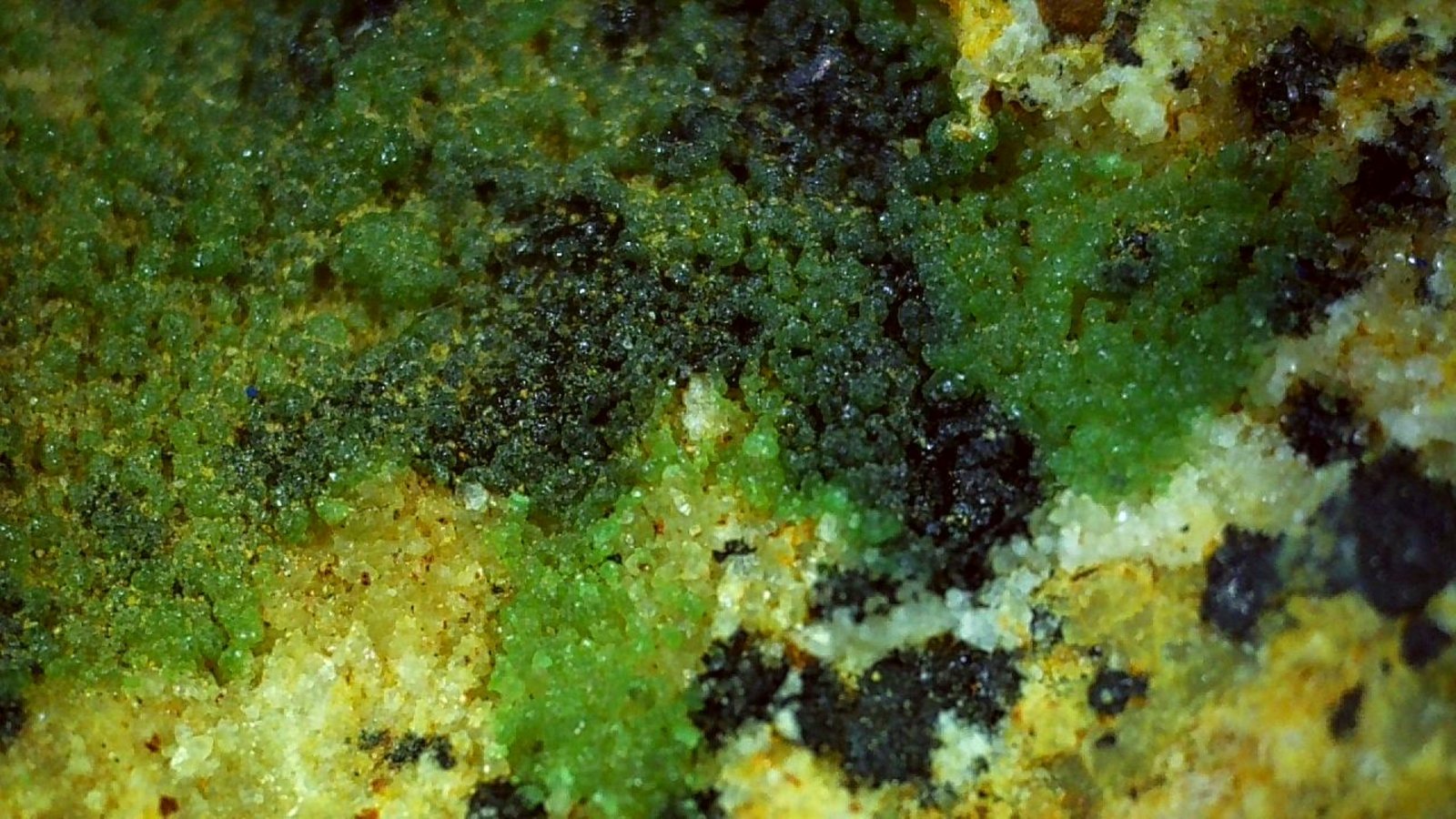 Zincolivenite, Romanechite
5,5 x 3,5 cm
(Autor: Volkmar Stingl)