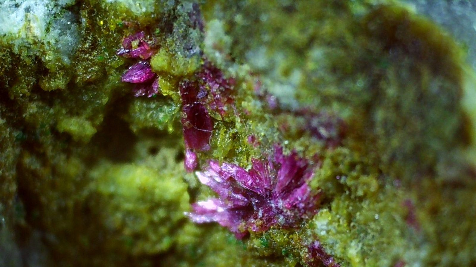 Erythrite
5,5 x 4 cm
(Autor: Volkmar Stingl)
