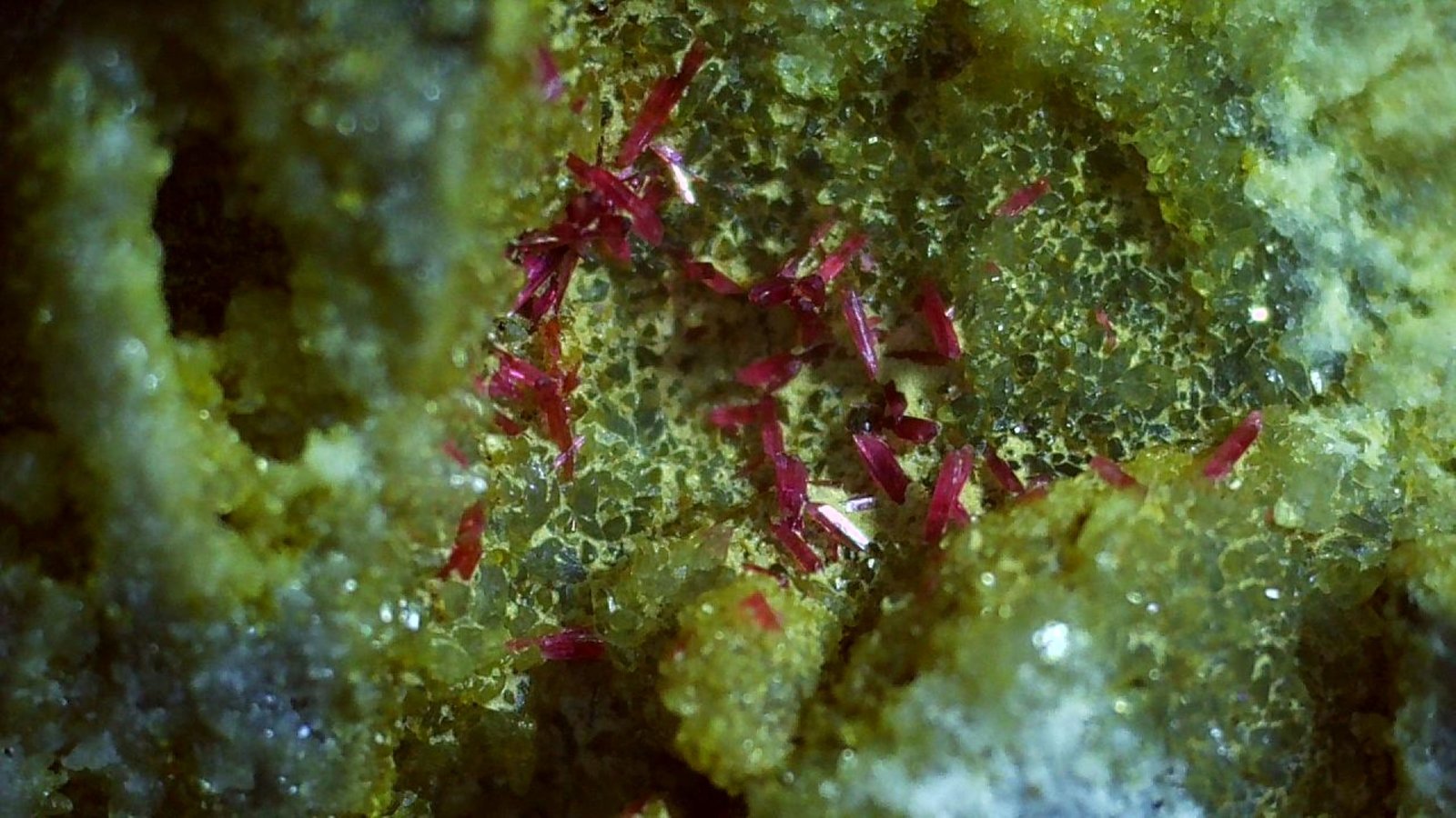Erythrite, Quartz, Calcite
5,5 x 4 cm
(Autor: Volkmar Stingl)