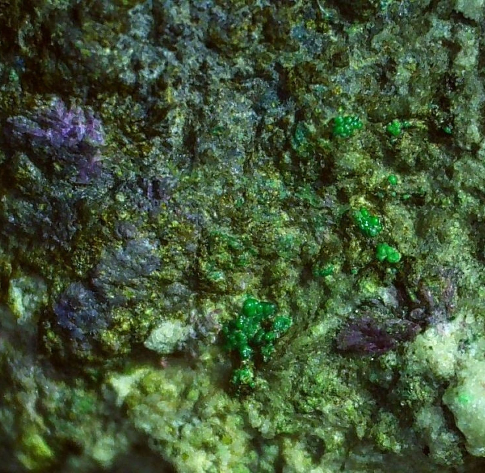 Glaukosphaerite, Erythrite
5,5 x 4 cm
(Autor: Volkmar Stingl)