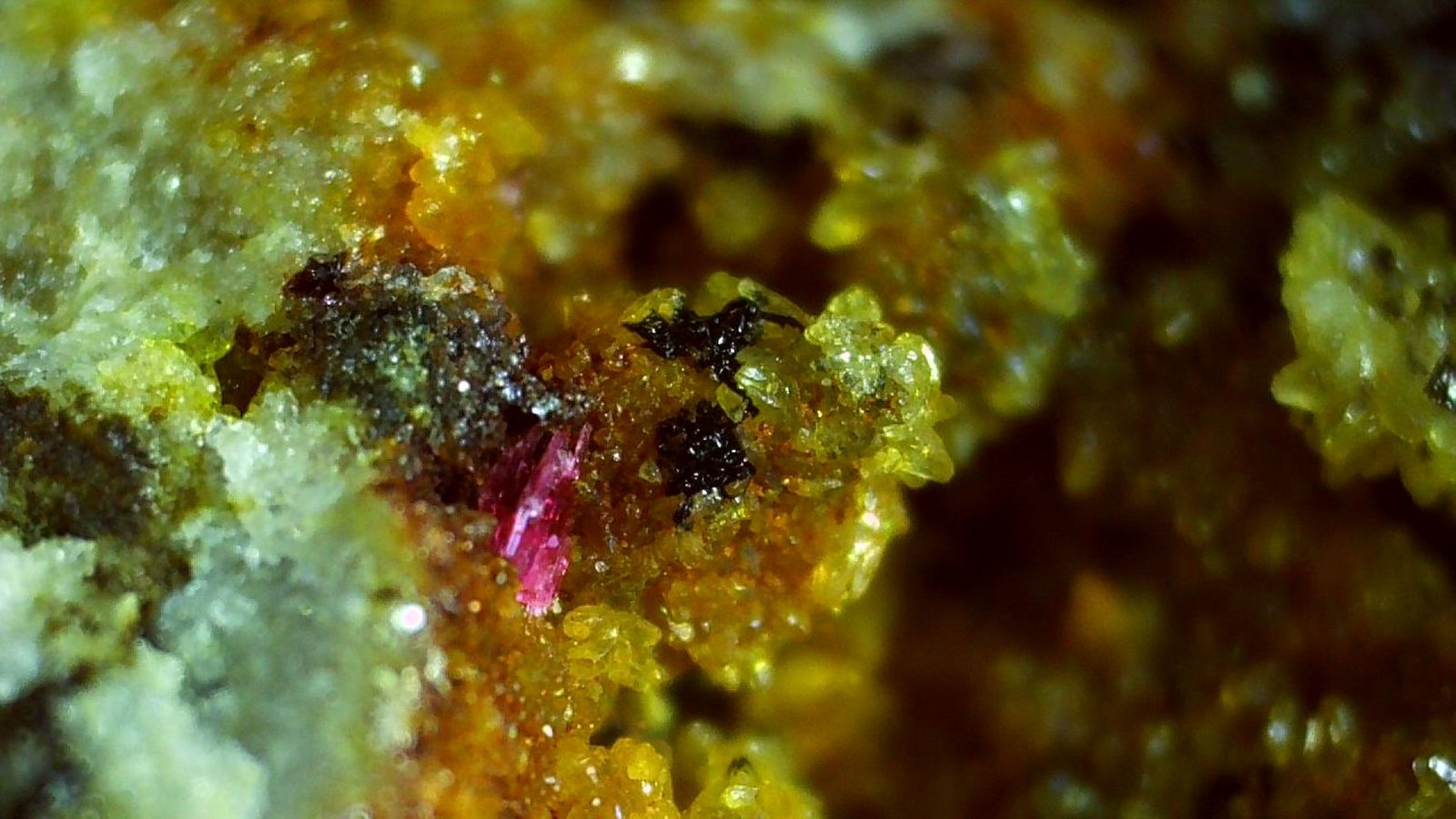 Erythrite, Silver, Acanthite, Calcite
3 x 3 cm
(Autor: Volkmar Stingl)