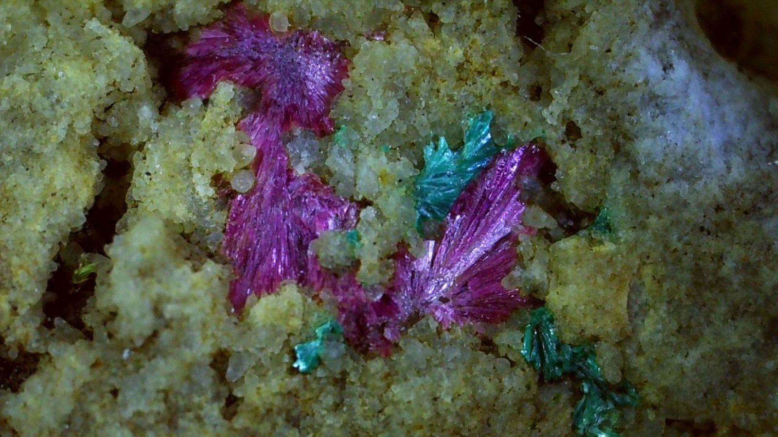 Erythrite, Tirolite
2,5 x 2 cm
(Autor: Volkmar Stingl)