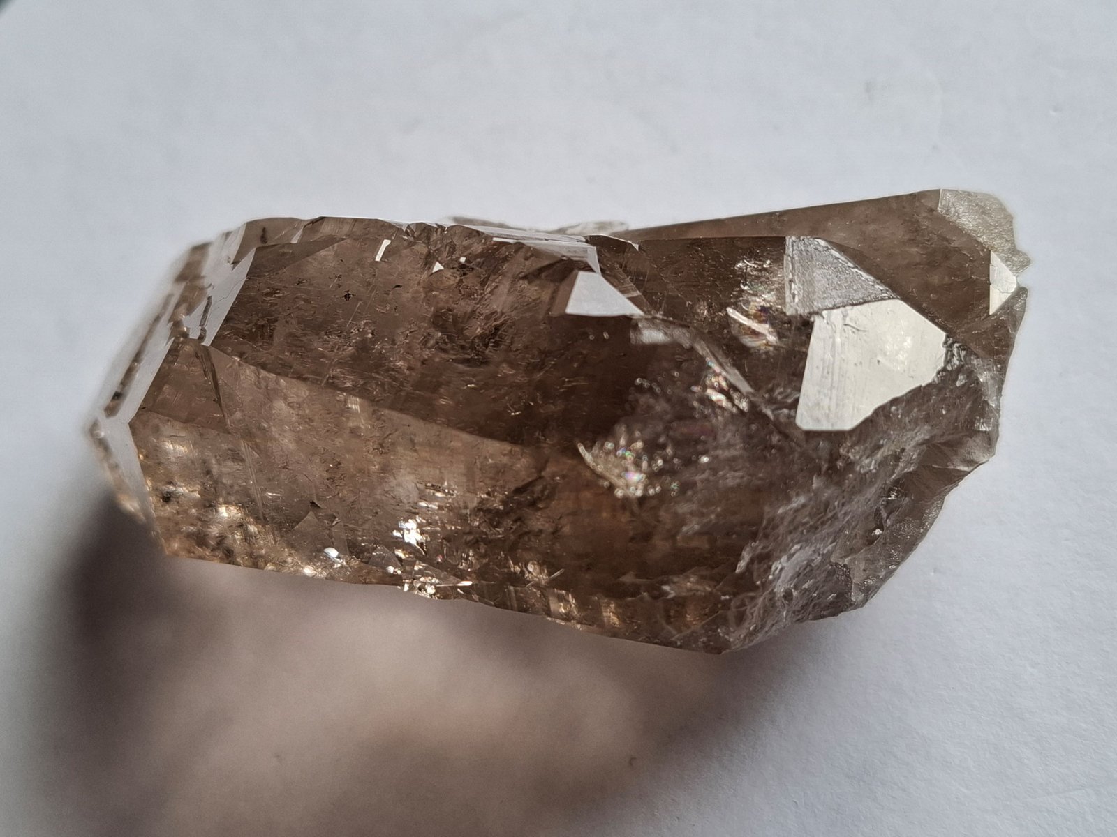 Quartz (variety smokey Quartz)
9,5 x 5,5 cm
(Autor: Volkmar Stingl)