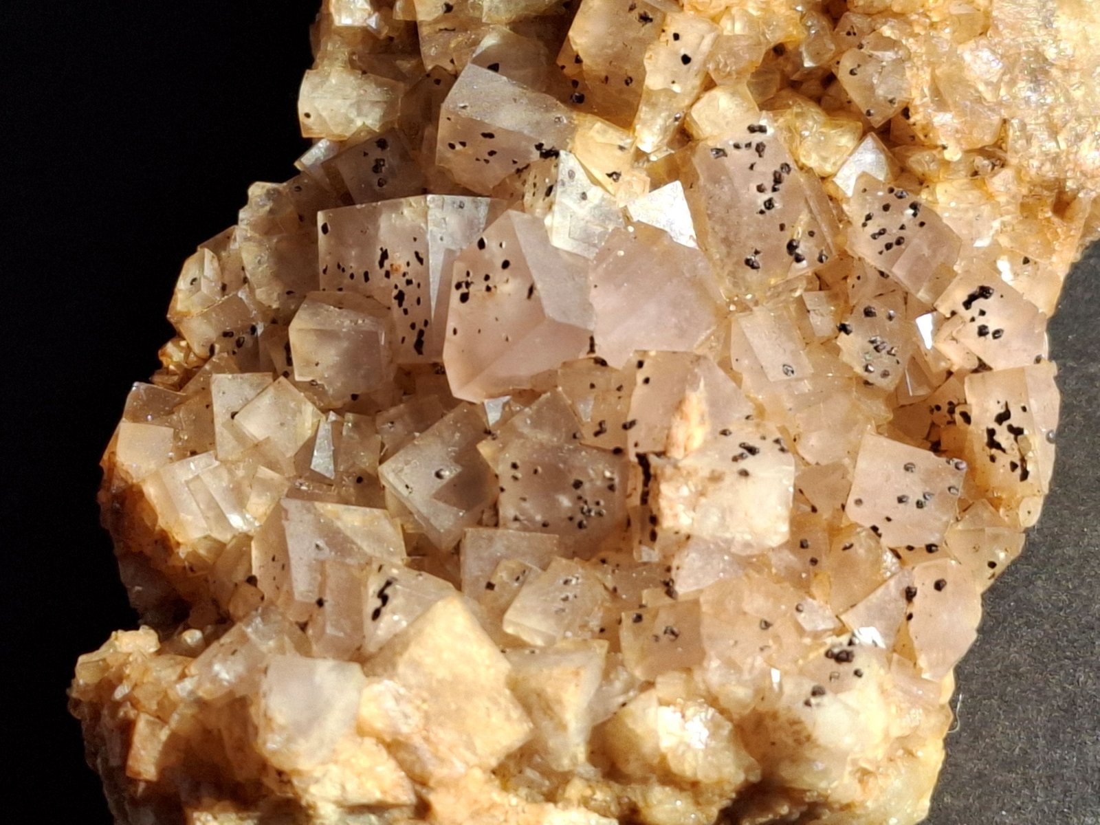 Fluorite, Pyrite
10 x 5,5 cm
(Autor: Volkmar Stingl)