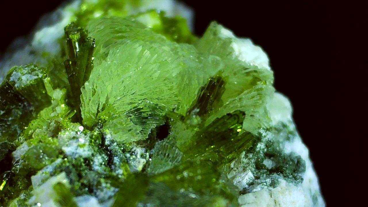 Prehnite, Epidote, Fluorite
2,5 x 2 cm
(Autor: Volkmar Stingl)