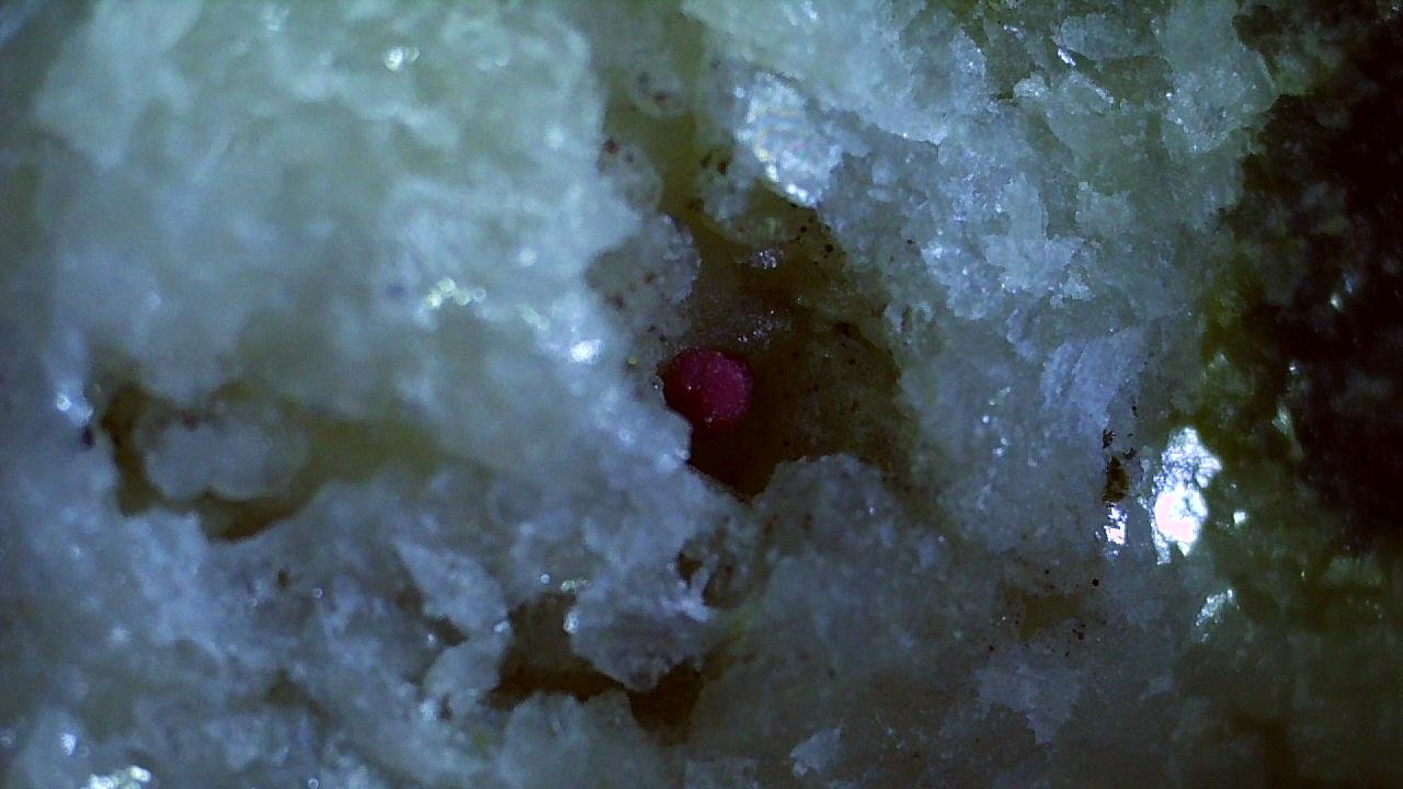 Babánekite
1,8 x 1,8 cm
(Autor: Volkmar Stingl)