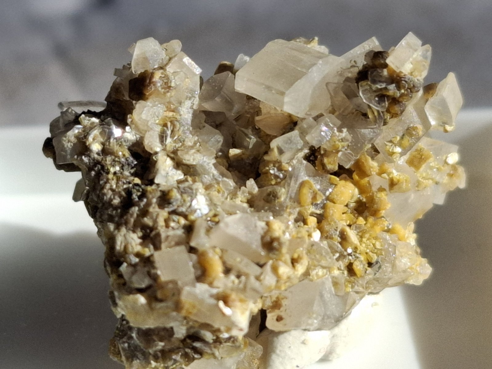 Bertrandite
2,4 x 1,9 cm
(Autor: Volkmar Stingl)