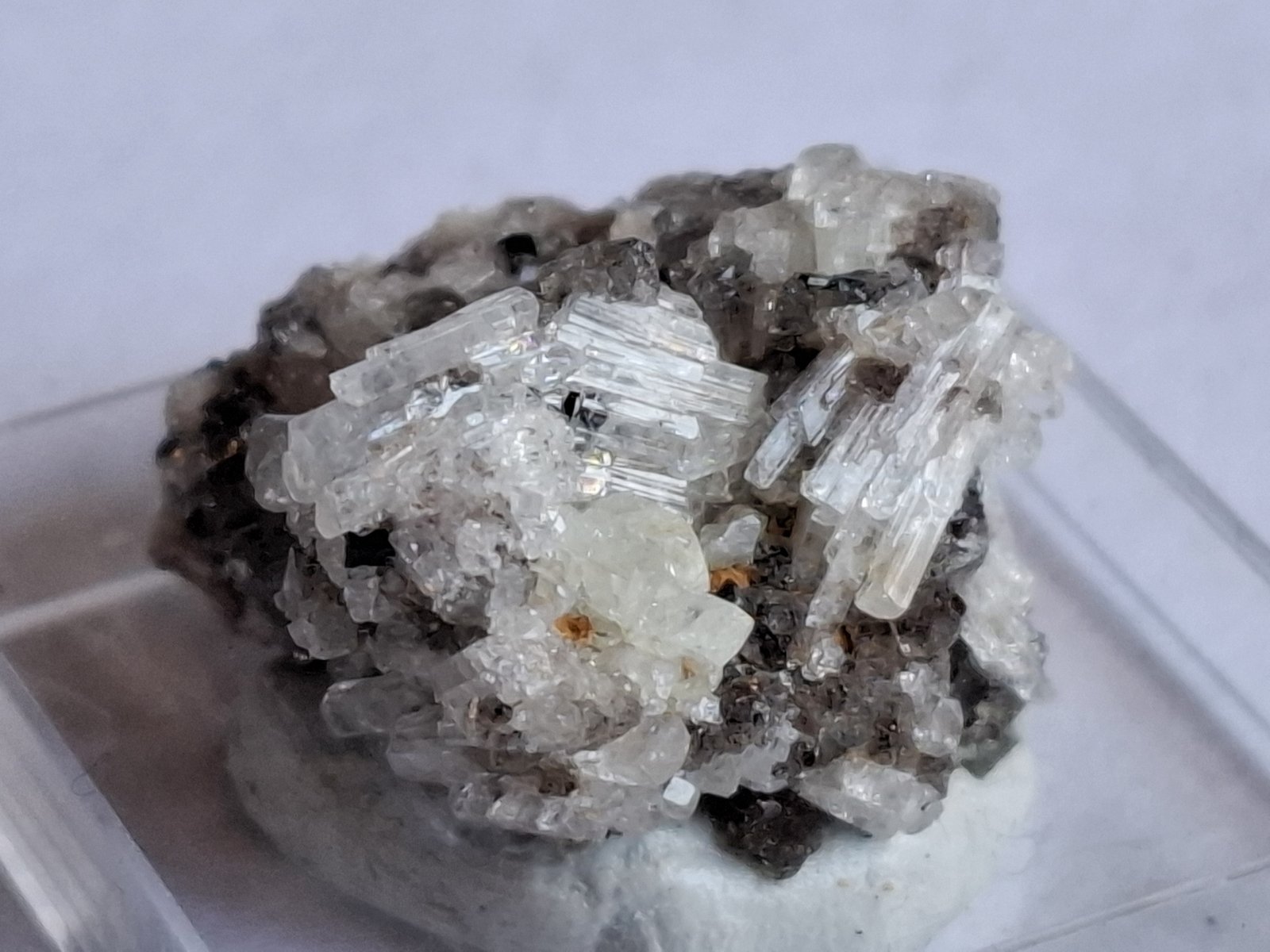Herderite, Fluorite
2 x 1,8 cm
(Autor: Volkmar Stingl)