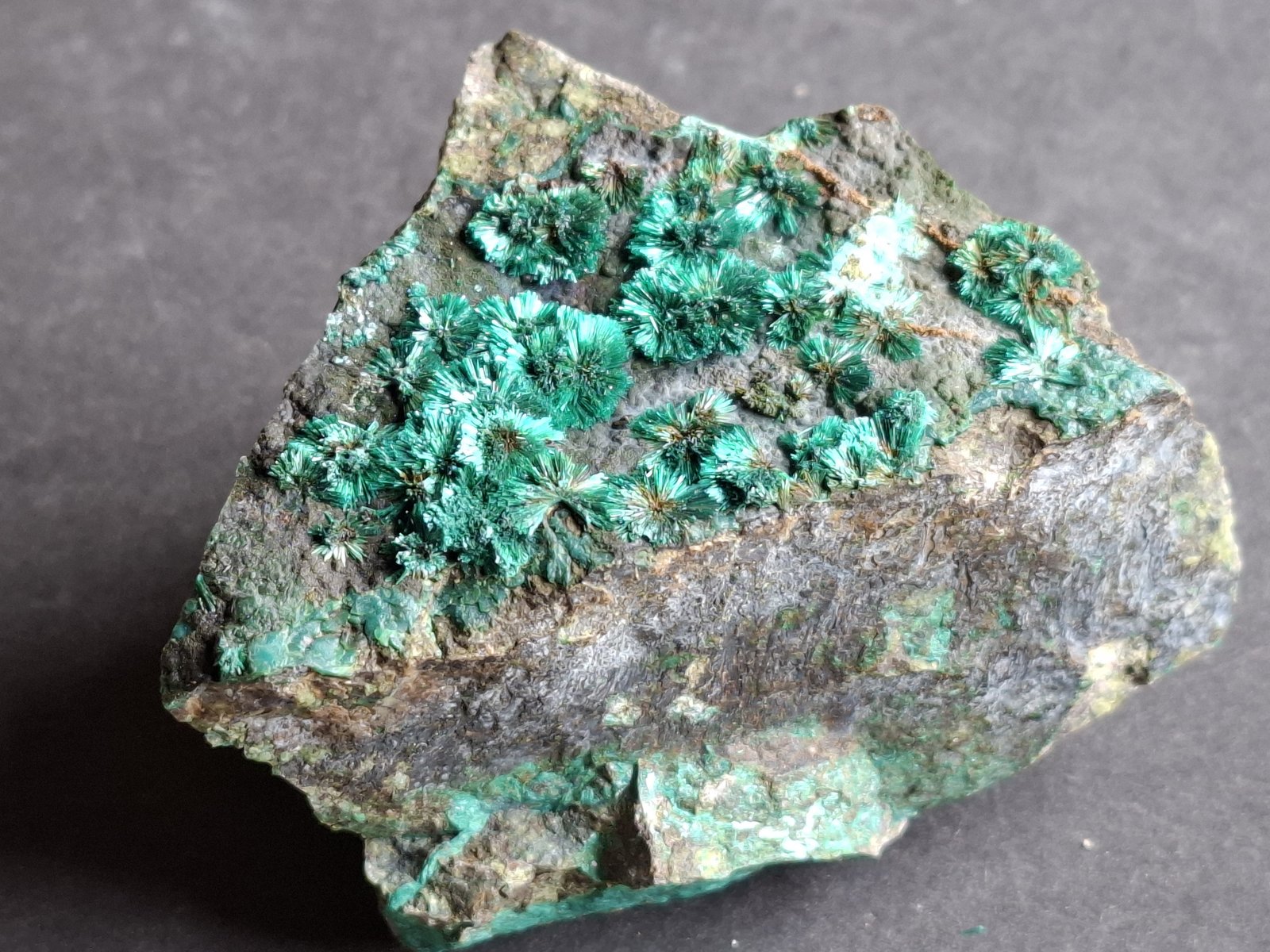 Malachite
6,5 x 6 cm
(Autor: Volkmar Stingl)