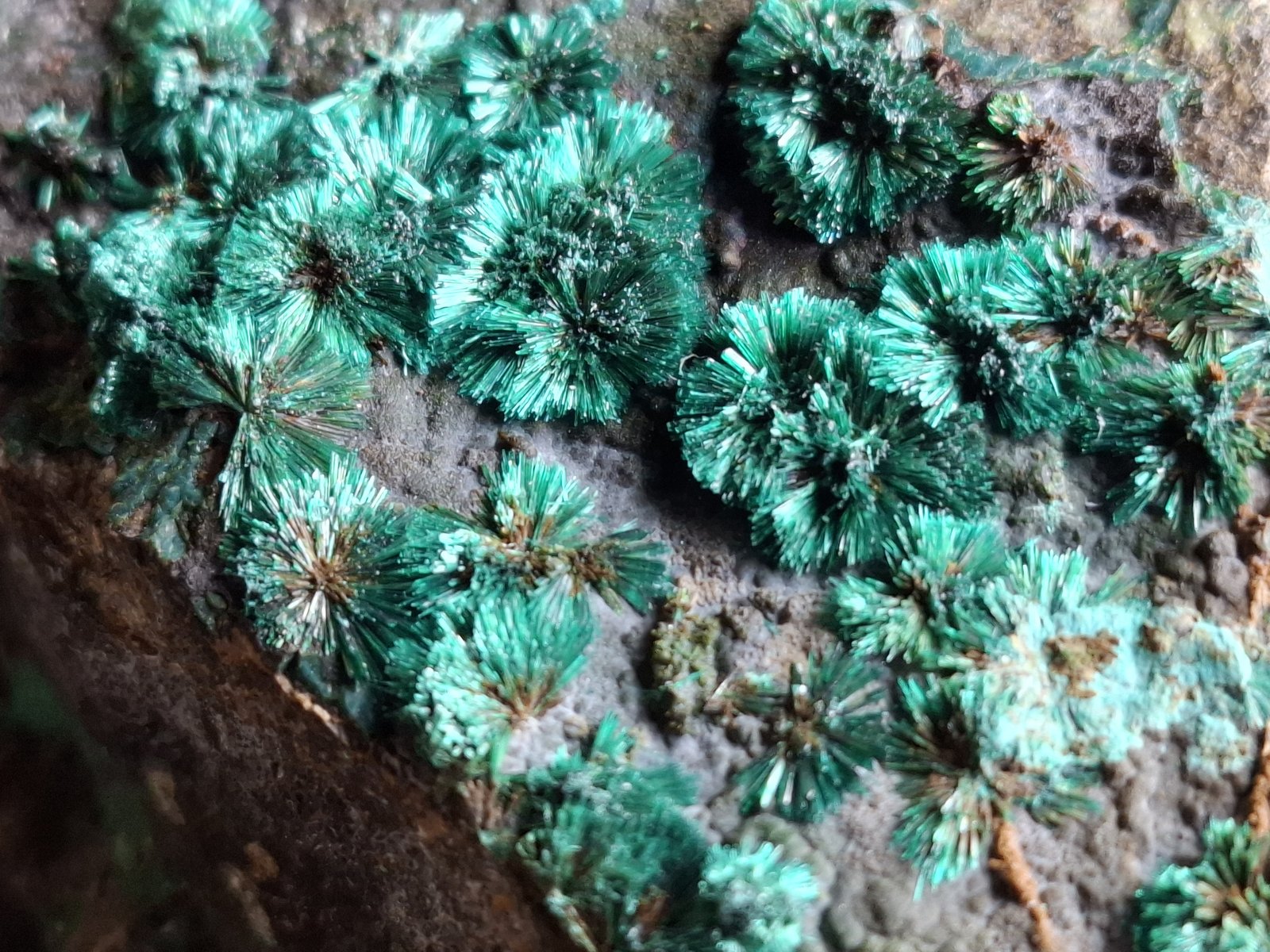 Malachite
6,5 x 6 cm
(Autor: Volkmar Stingl)