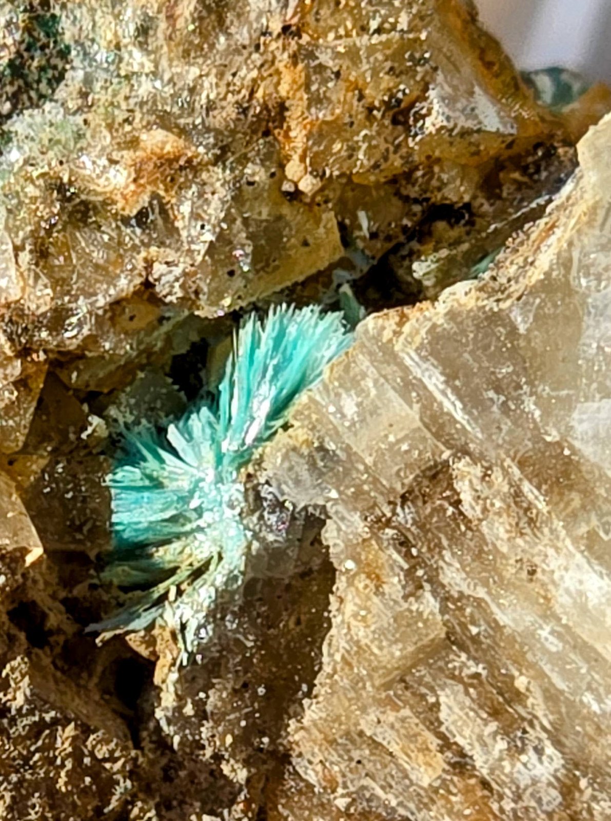 Aurichalcite
5mm
(Autor: Forrestblyth)