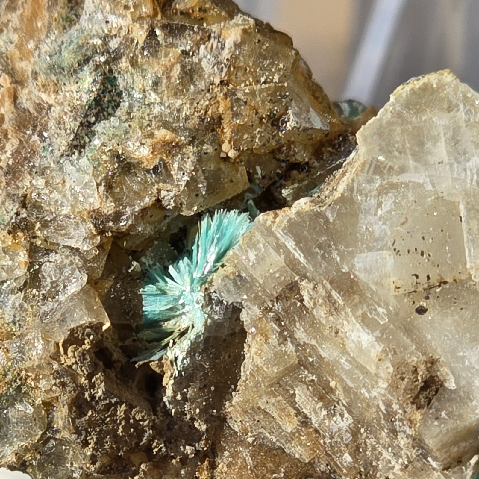 Aurichalcite
5mm
(Autor: Forrestblyth)
