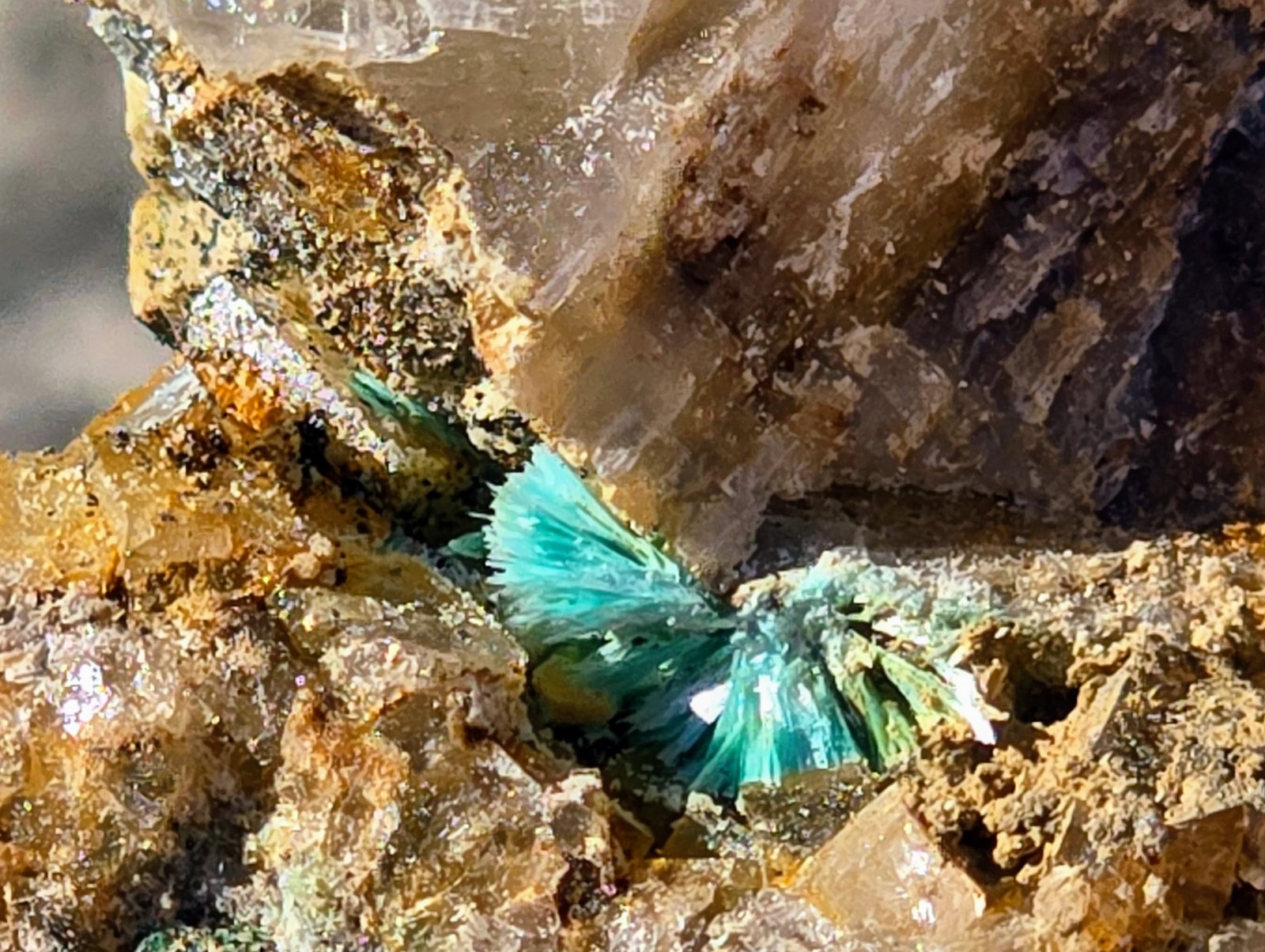 Aurichalcite
5mm
(Autor: Forrestblyth)
