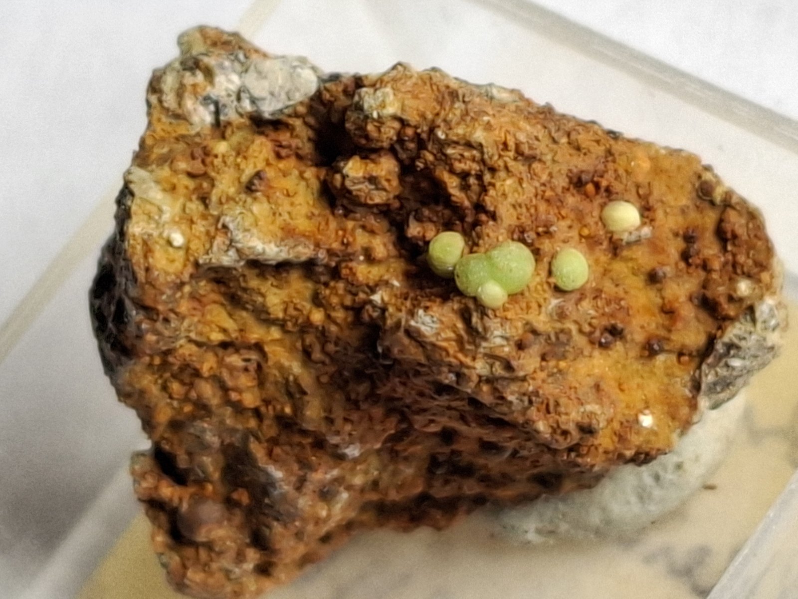 Kolbeckite
2,2 x 1,9 cm
(Autor: Volkmar Stingl)