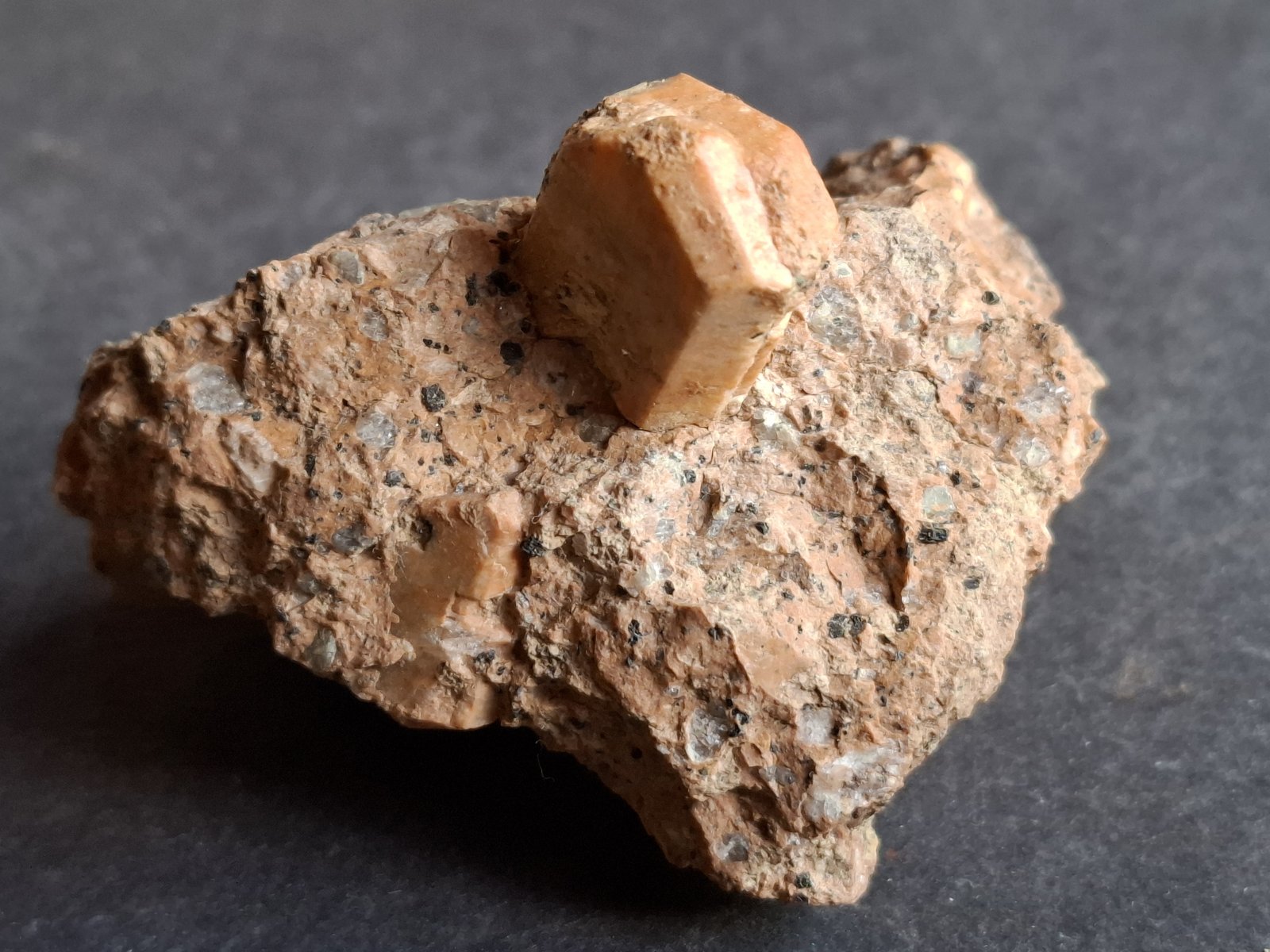Orthoclase
6 x 5 cm
(Autor: Volkmar Stingl)