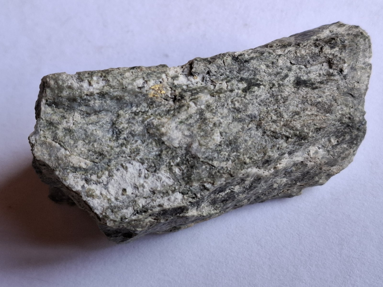 Gold
6,5 x 3 cm
(Autor: Volkmar Stingl)