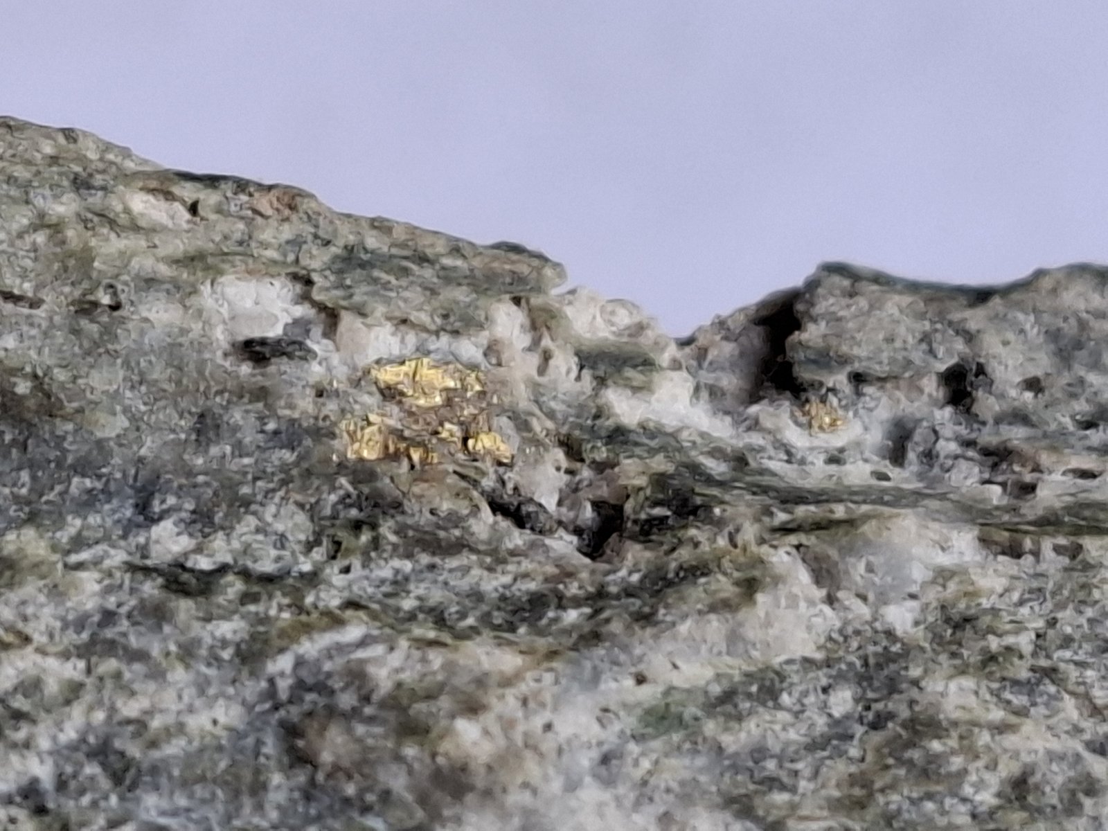 Gold
6,5 x 3 cm
(Autor: Volkmar Stingl)
