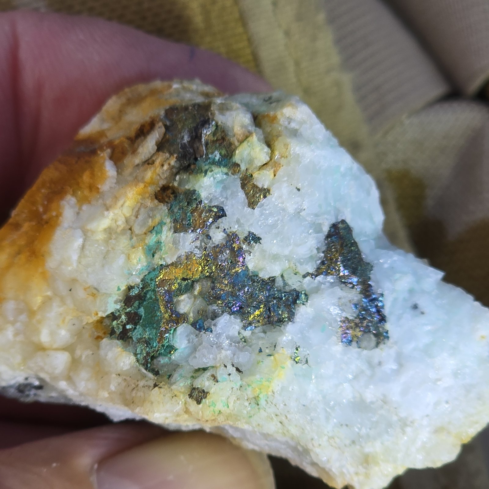 arsenopyrite
5cm
(Autor: Forrestblyth)